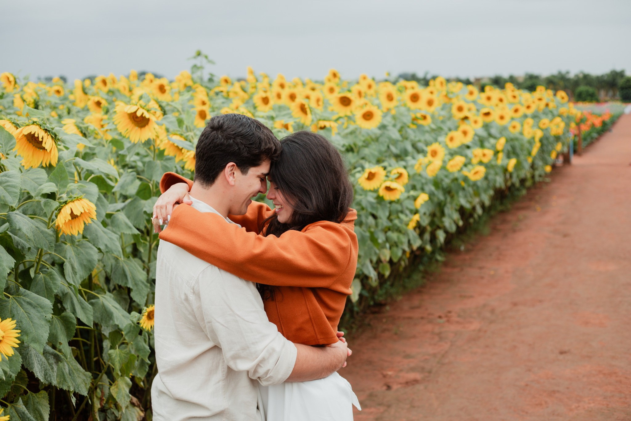 Pedido de casamento / Macena Flores. Joyce Maria Fotografia | Fotógrafa em Holambra