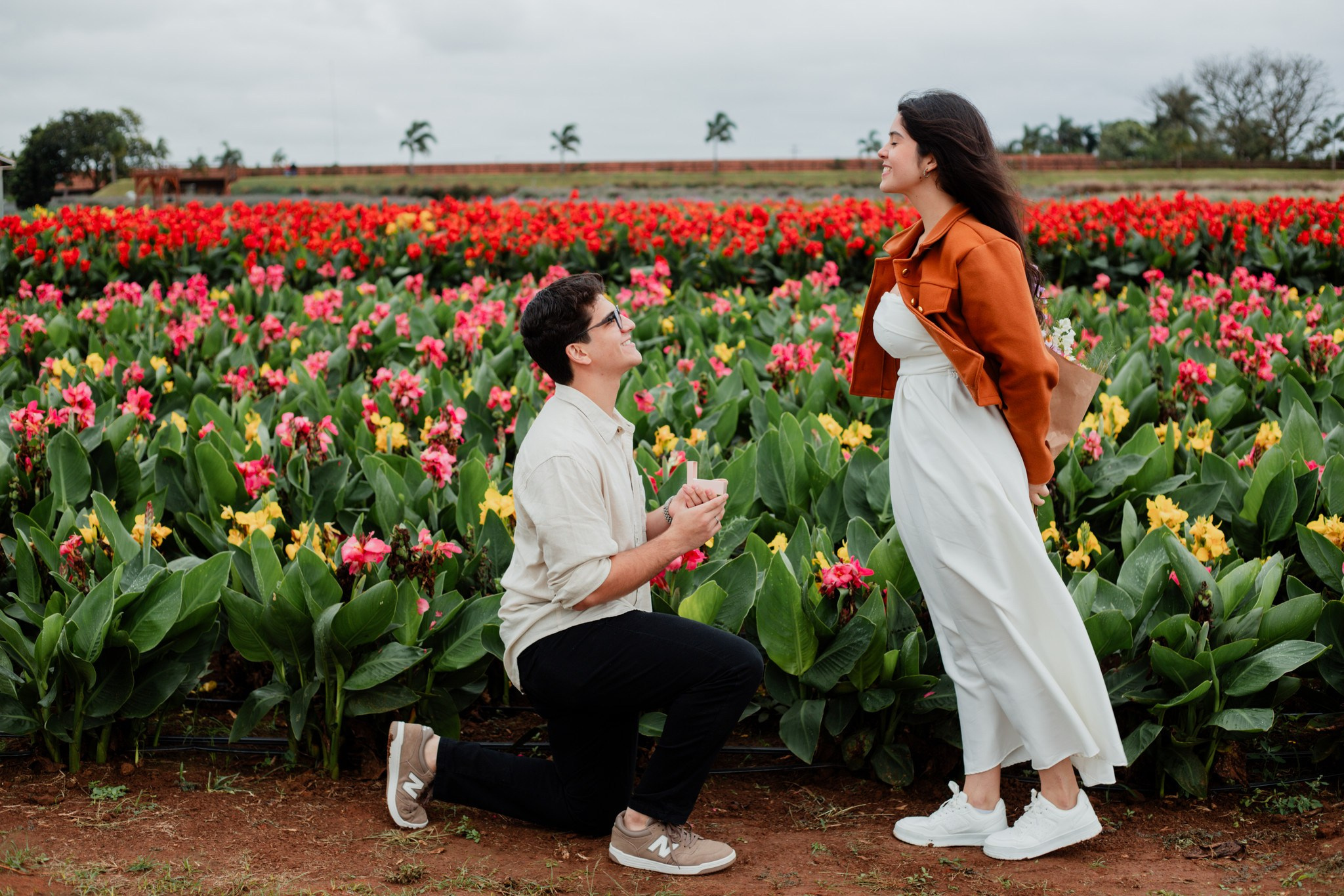 Pedido de casamento / Macena Flores. Joyce Maria Fotografia | Fotógrafa em Holambra