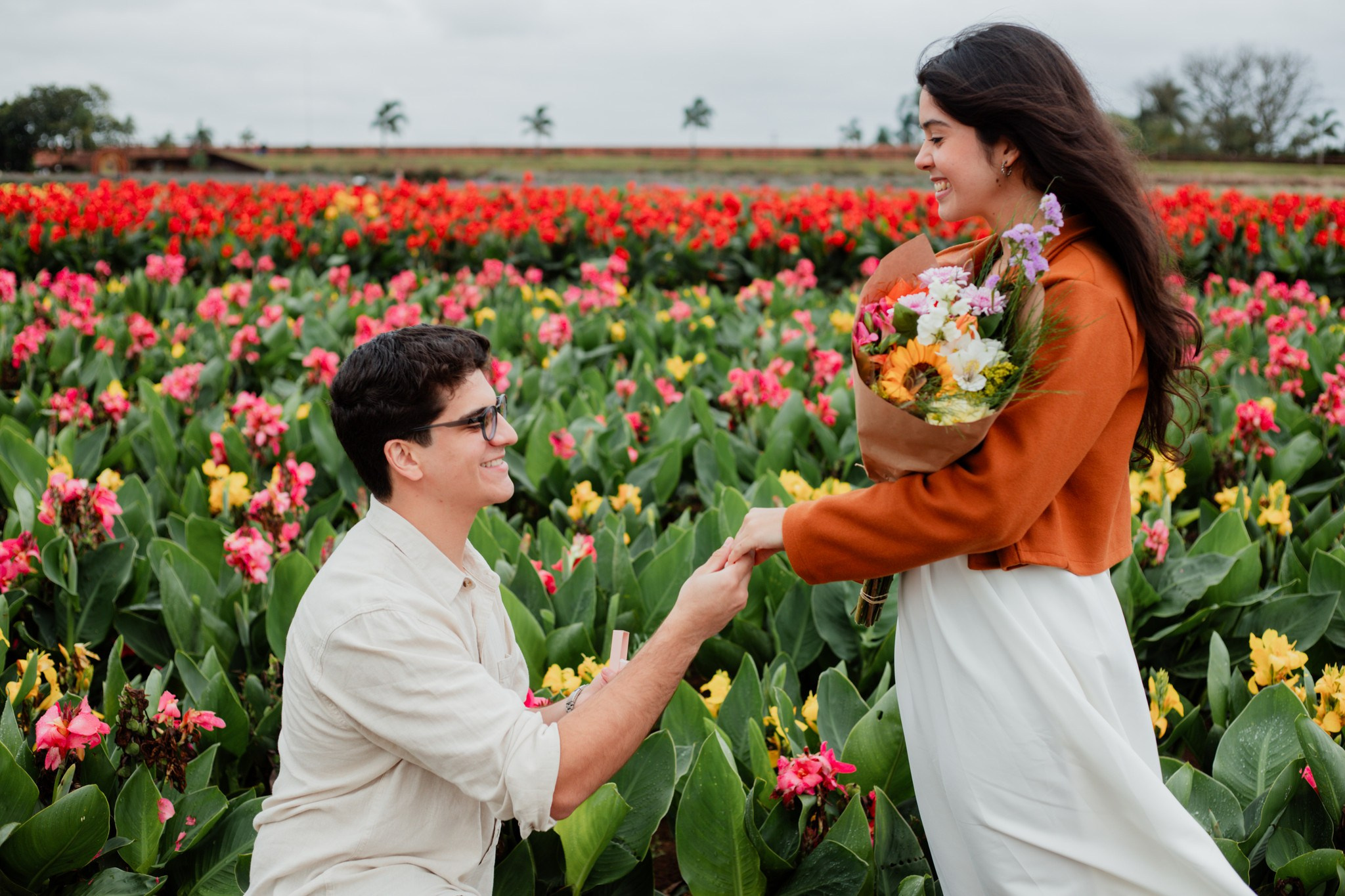 Pedido de casamento / Macena Flores. Joyce Maria Fotografia | Fotógrafa em Holambra
