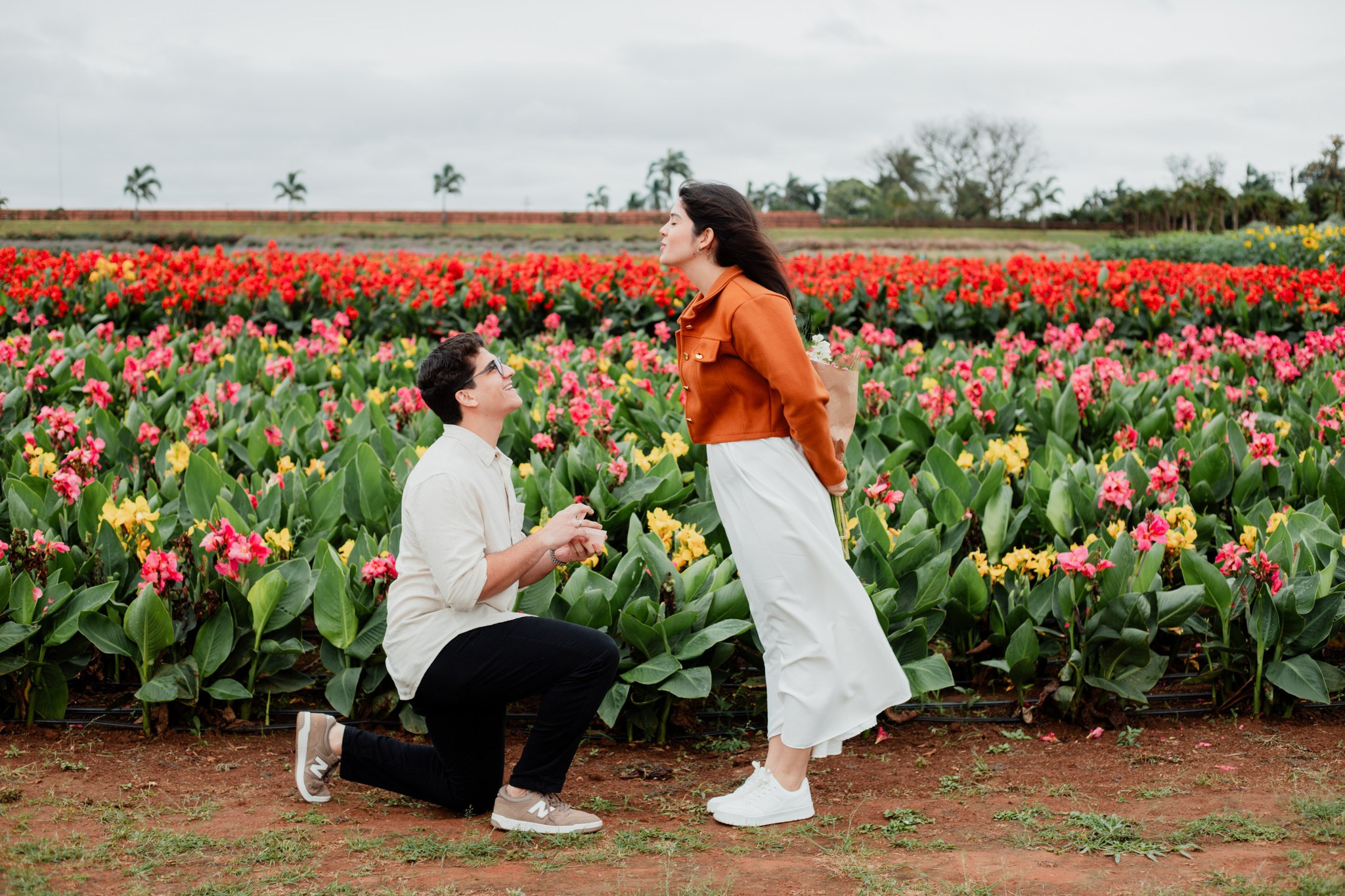 Pedido de casamento / Macena Flores. Joyce Maria Fotografia | Fotógrafa em Holambra