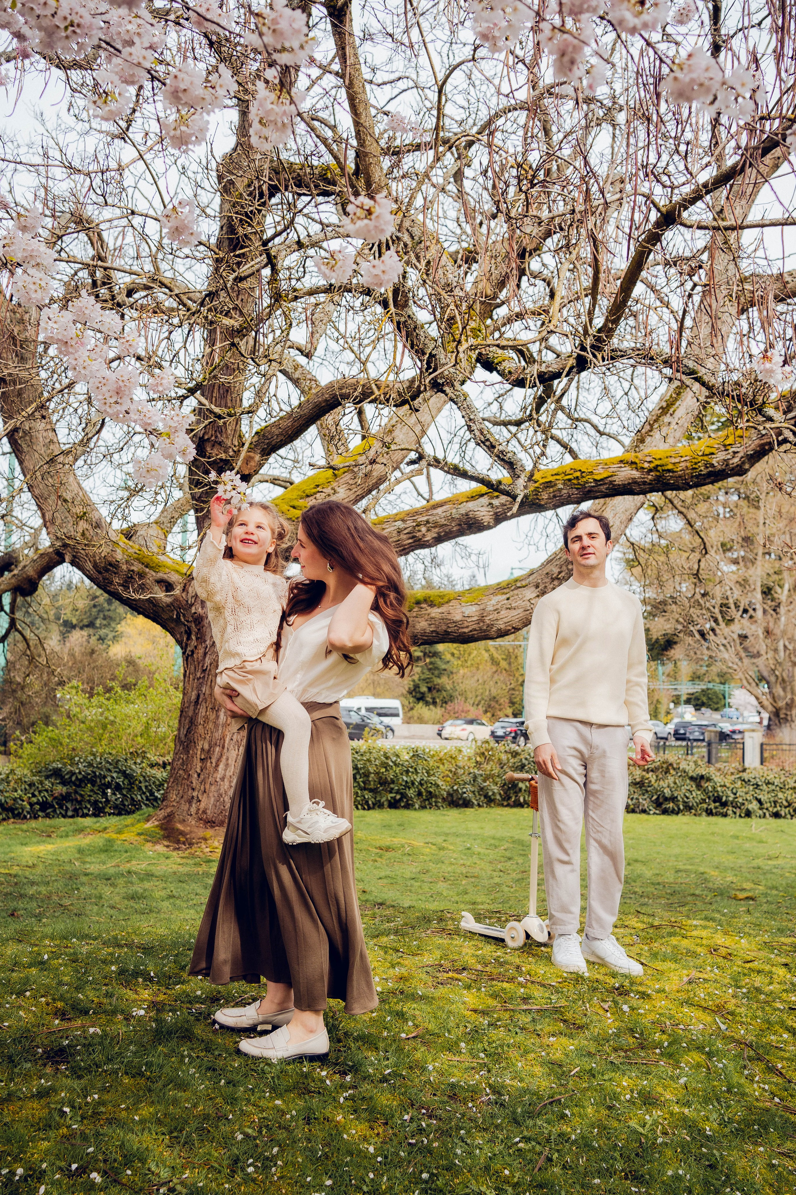 Cherry blossom. Photographer Lana