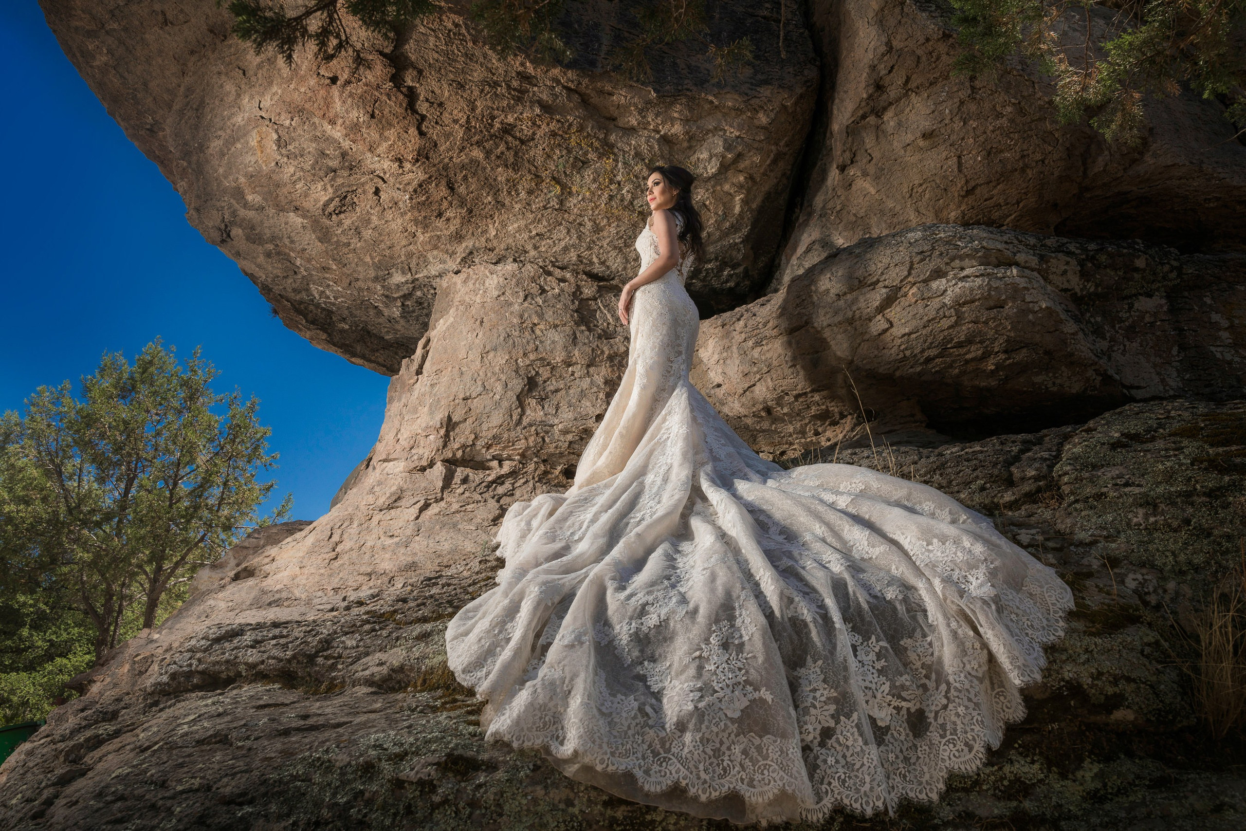 Bodas. Fotógrafo Profesional en Chihuahua, México — Alex Mendoza