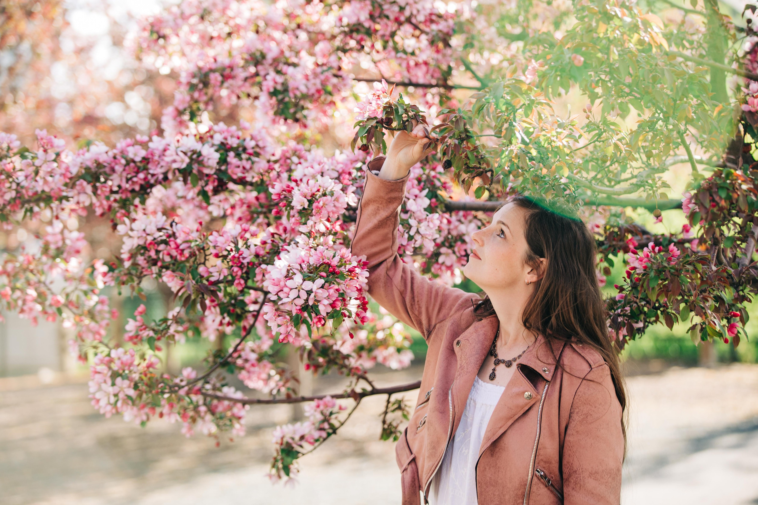 Cherry Blossom — Kelsey. Ching Li Photography