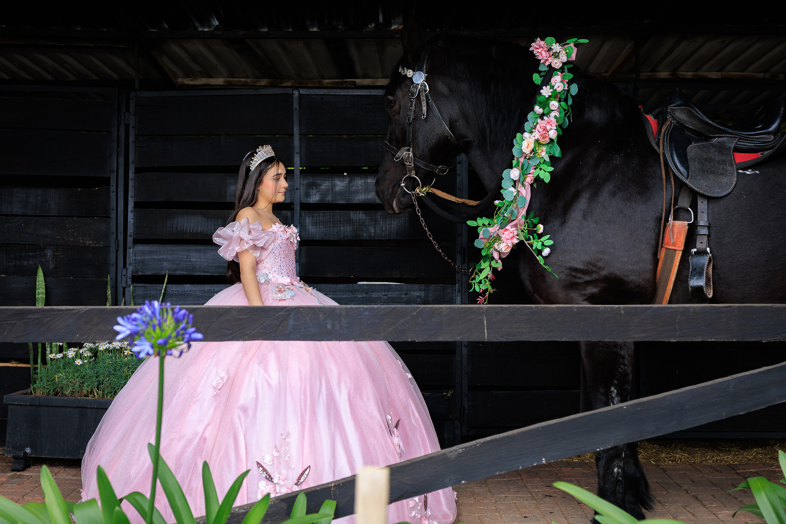 Sesión de Quinceañera Laura en Bogotá | Fotos de 15 Años