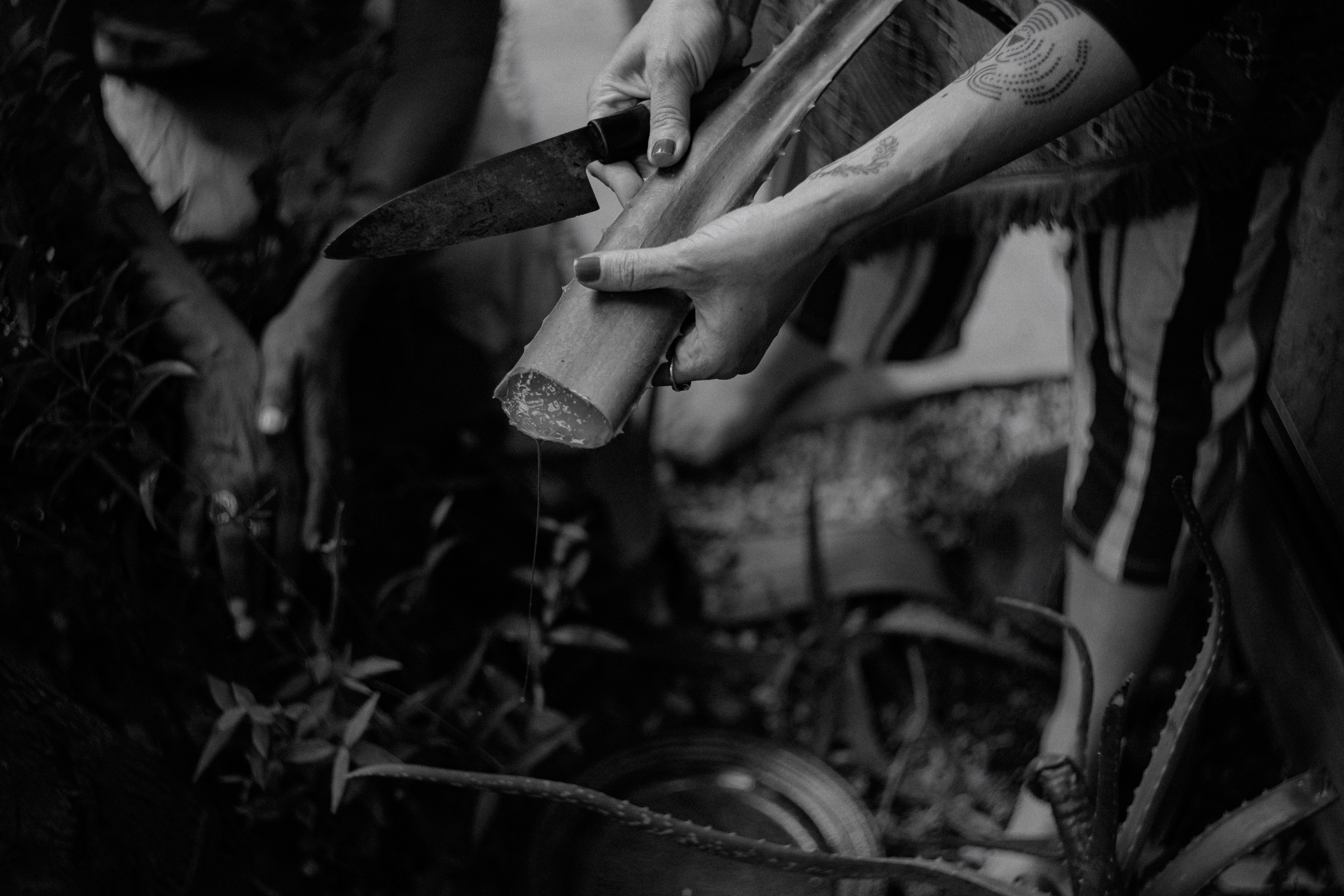 A Arte do Parto. Fotografa de família e crianças em Florianópolis SC Daria Ermolaev
