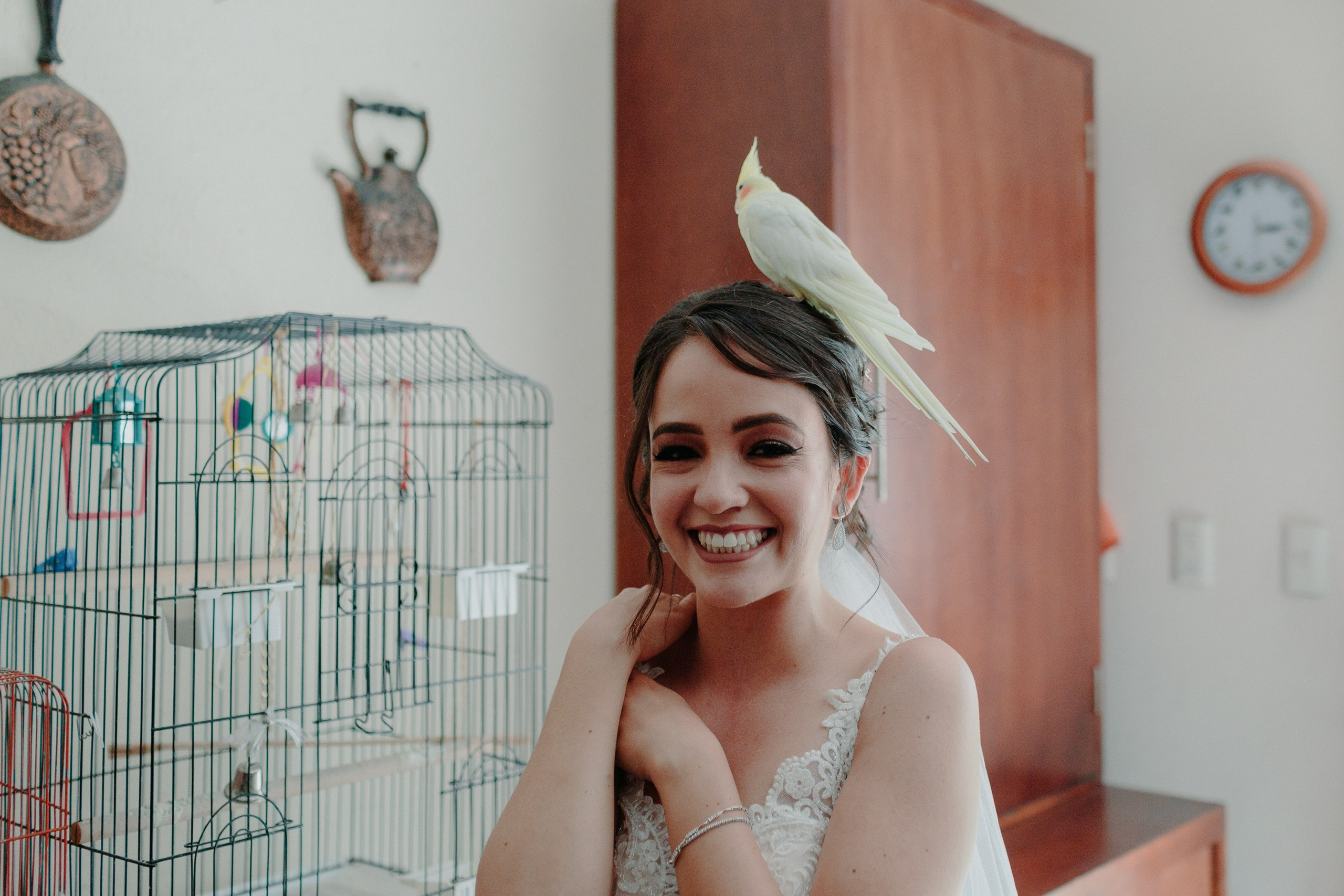 Mely y Gabo. Fotógrafo de bodas