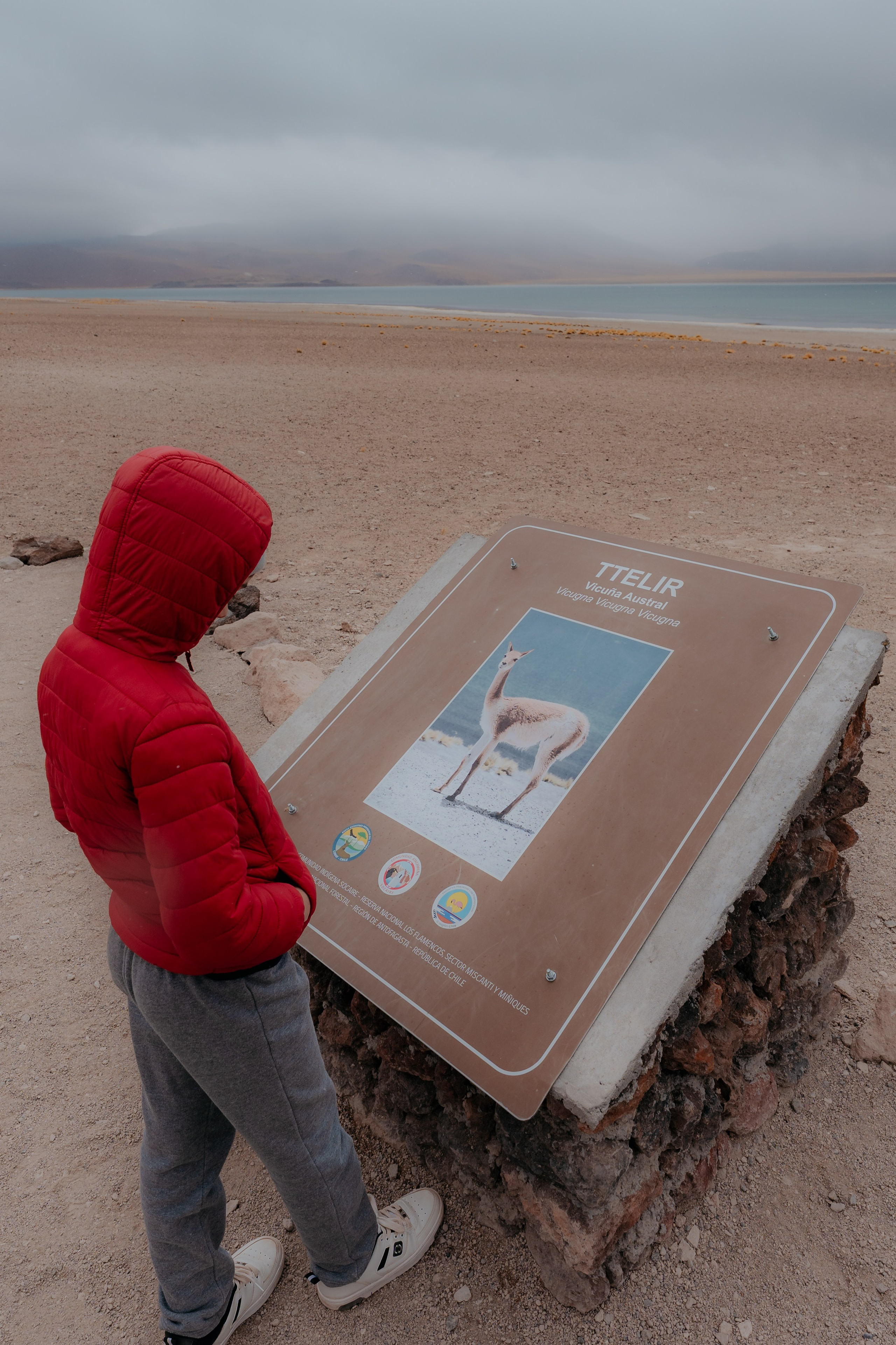 Cobertura de passeio — Piedras Rojas. Fotógrafo em San Pedro de Atacama