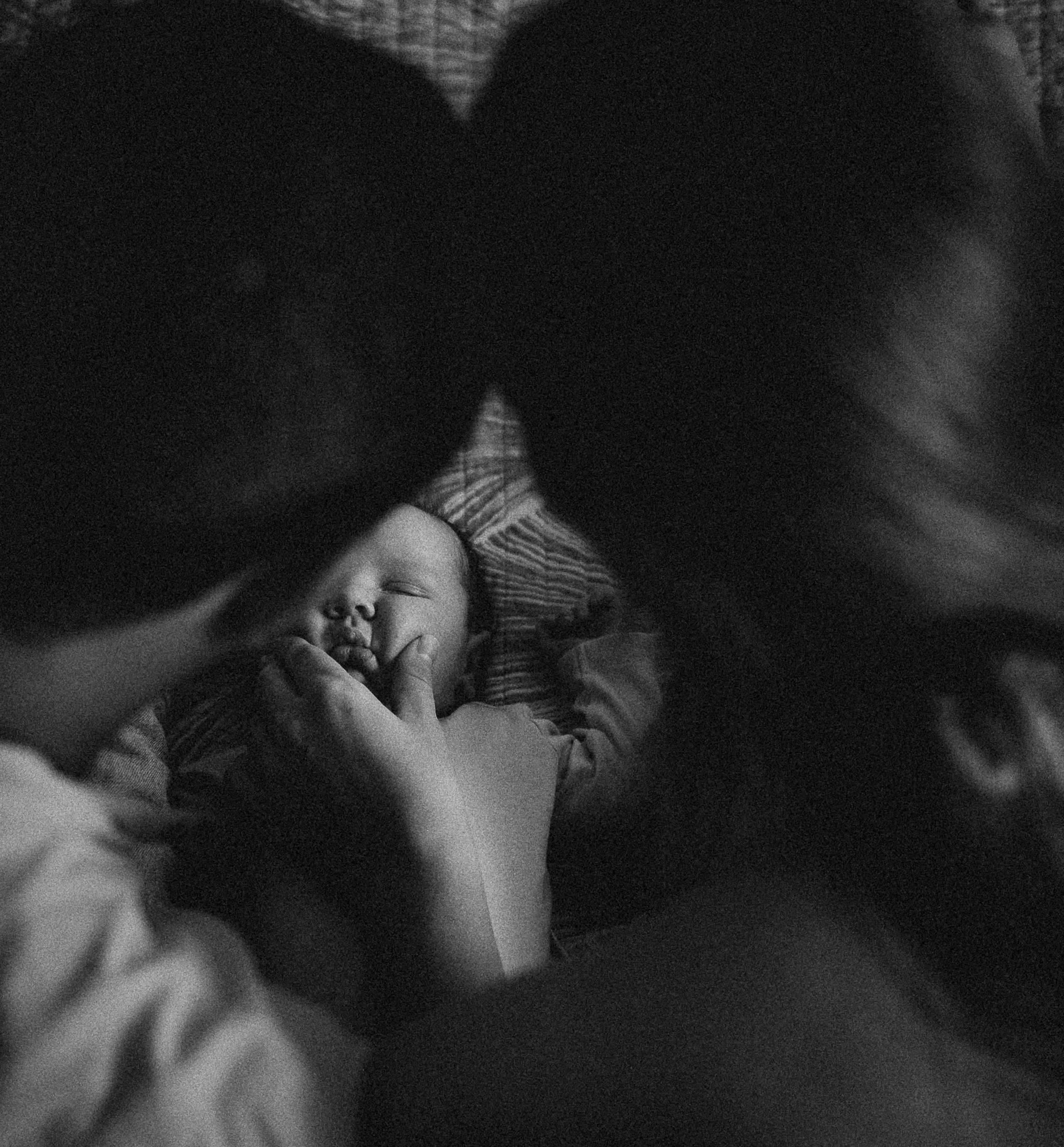 Polina, Alexander y Yaroslav. Fotografo de familia en Quito Anastasia Eliseeva