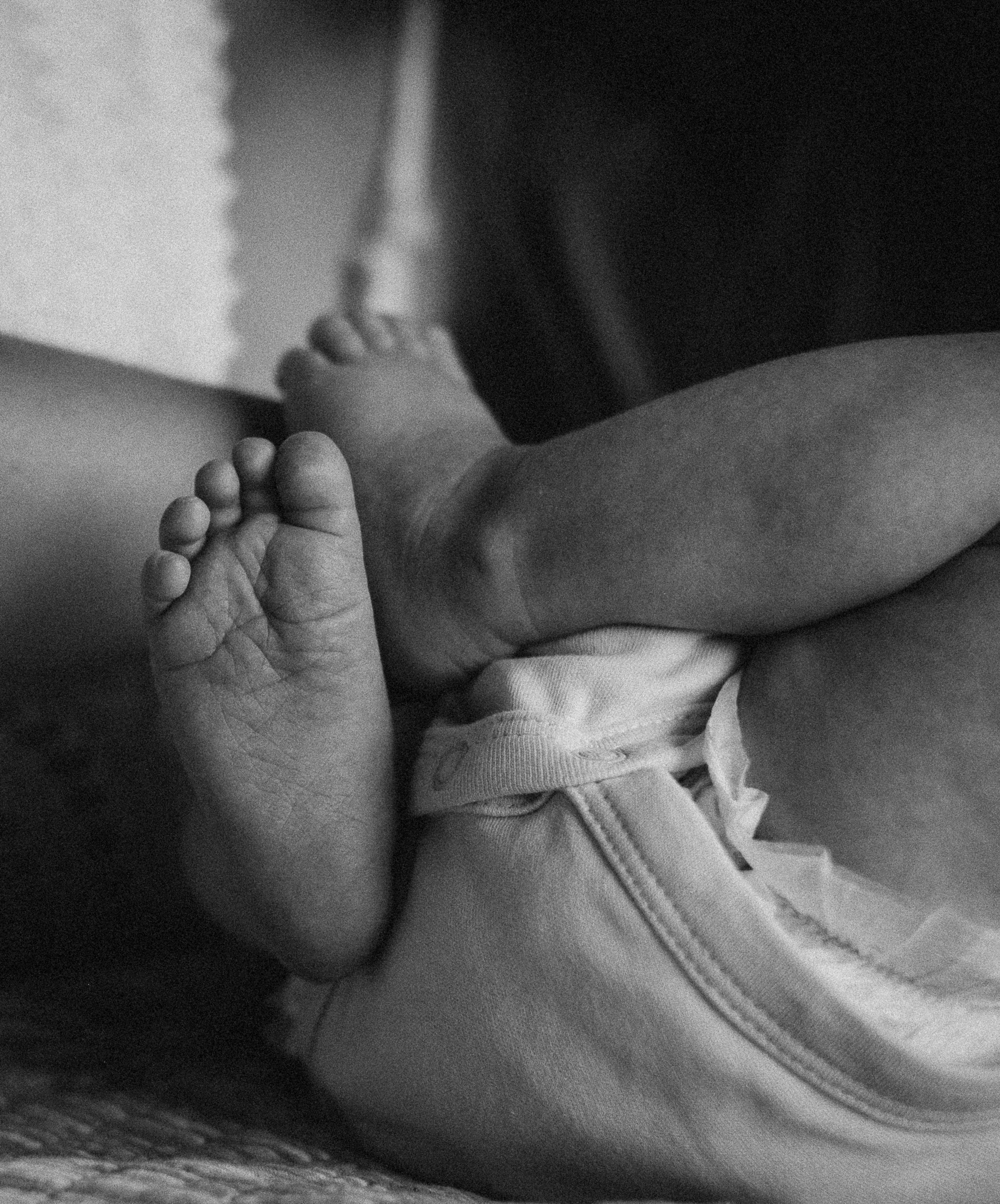 Polina, Alexander y Yaroslav. Fotografo de familia en Quito Anastasia Eliseeva