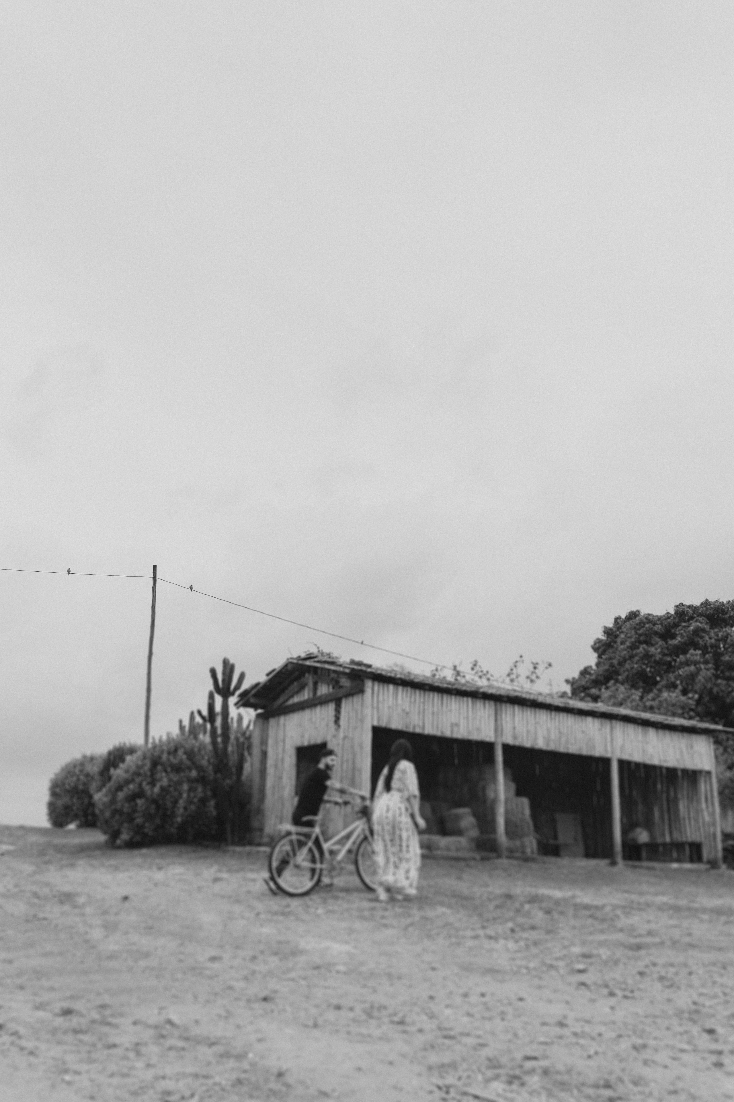 Carol e Edu. Alexandre Borges Wedding