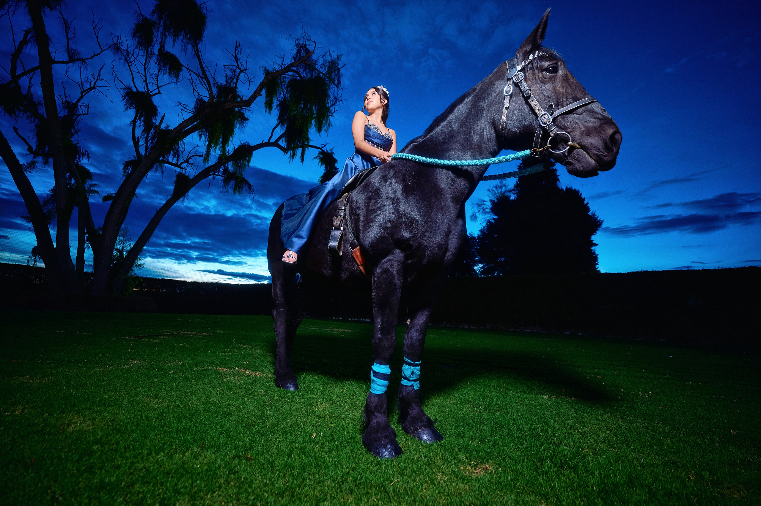Sara’s Fine Art Quinceañera Photoshoot with a Black Friesian Horse | ZZ Portraits by Hendrick
