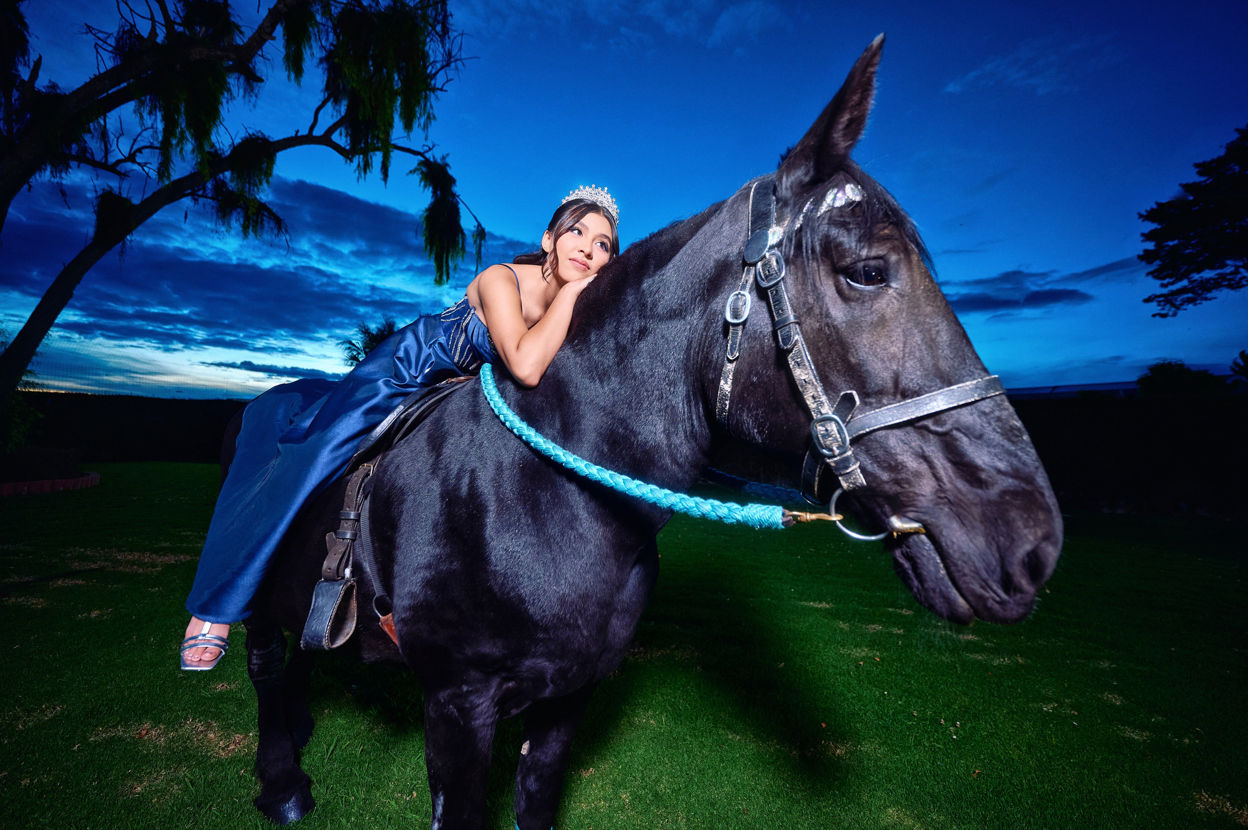 Sara’s Fine Art Quinceañera Photoshoot with a Black Friesian Horse | ZZ Portraits by Hendrick
