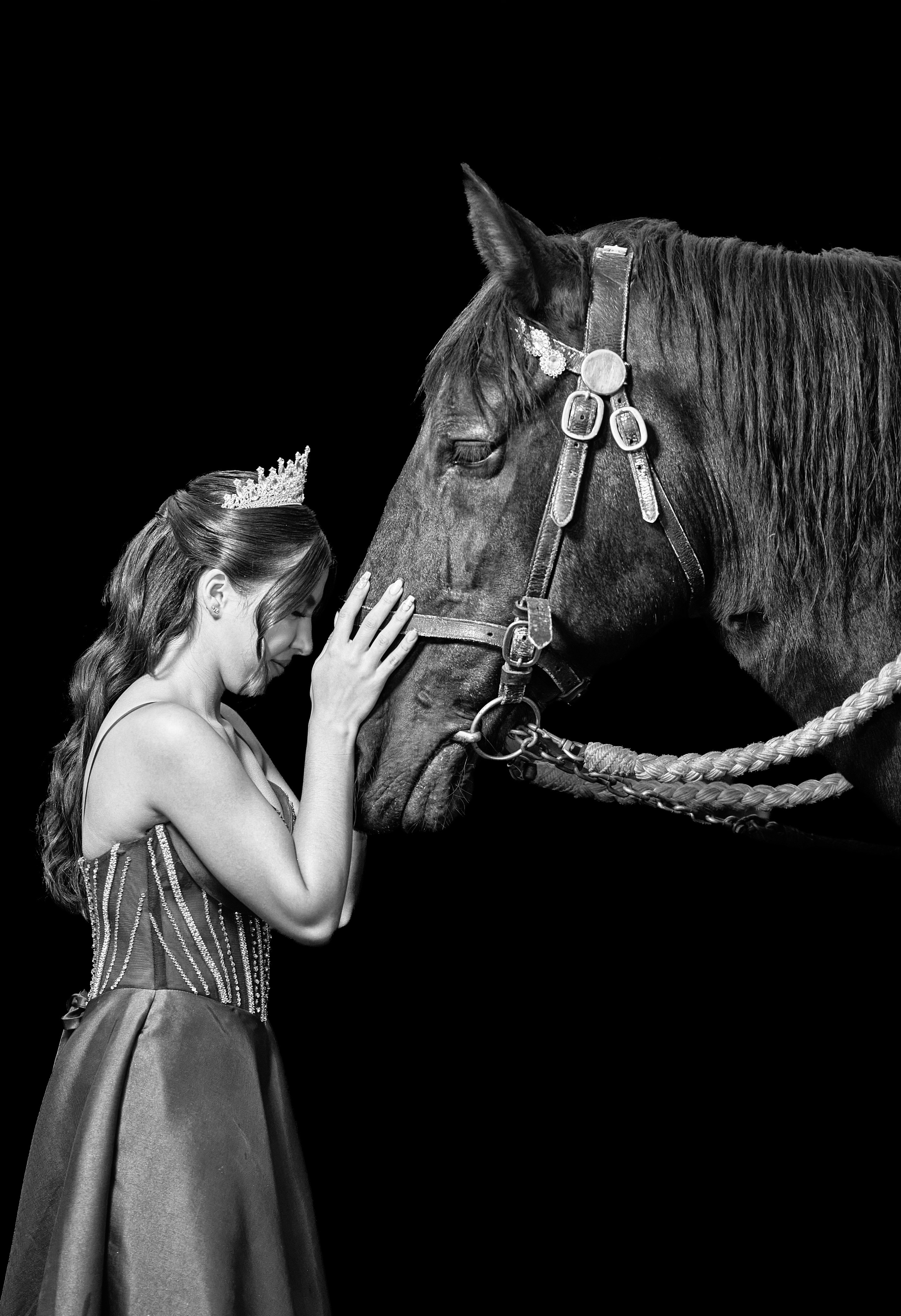 Sara’s Fine Art Quinceañera Photoshoot with a Black Friesian Horse | ZZ Portraits by Hendrick