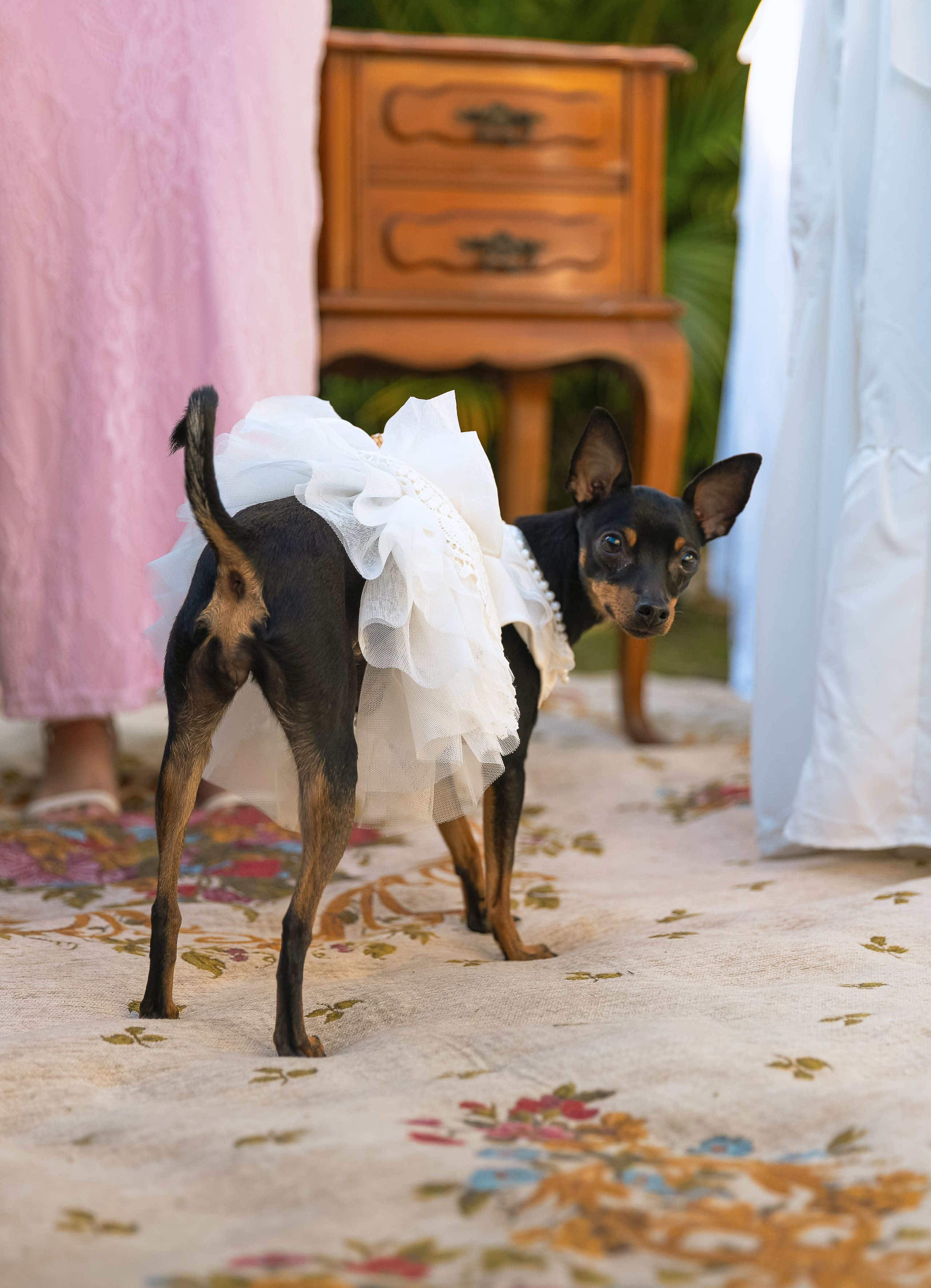Fotógrafa de casamento em São Paulo, registrando cerimônia, celebração e momentos espontâneos com autenticidade. Fotografias para reviver cada emoção do casamento.