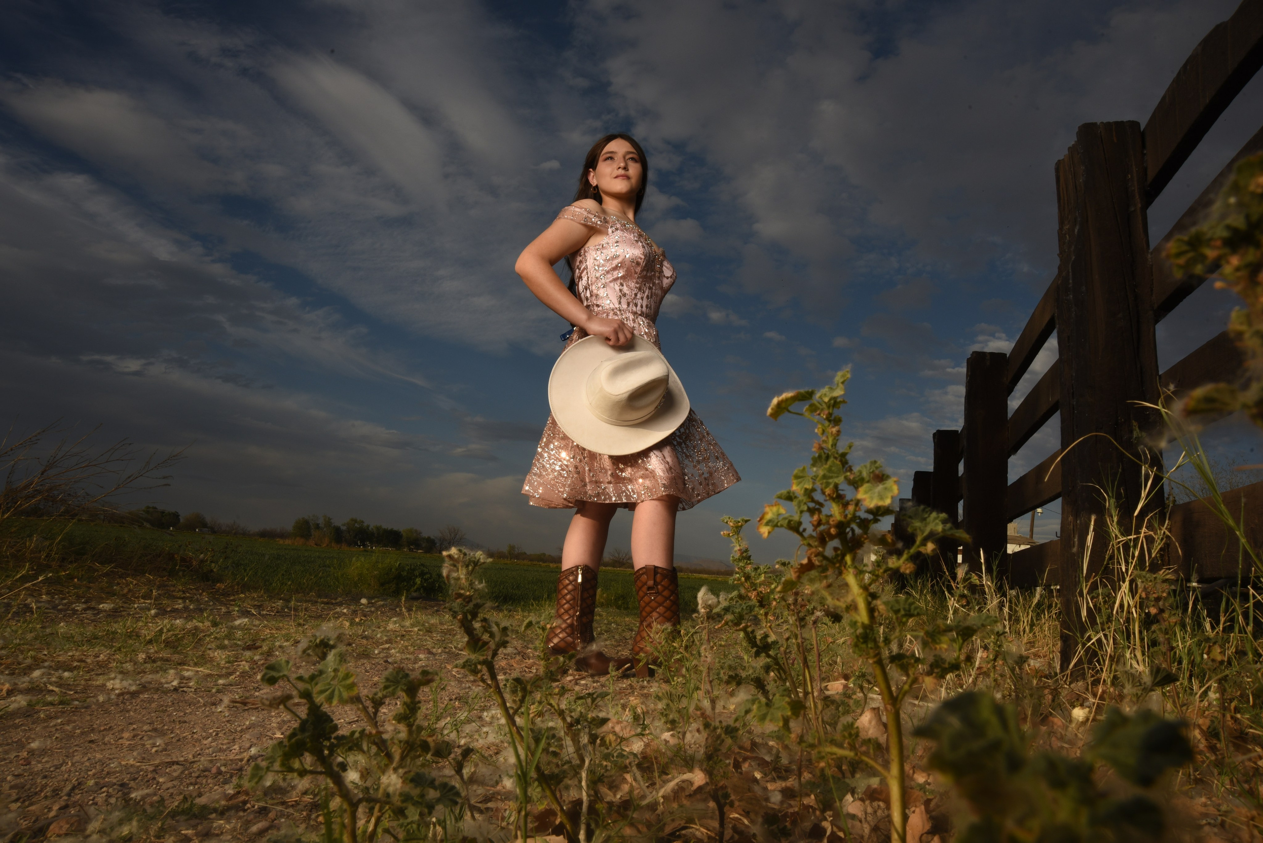 Servicios. HERMOSILLO STUDIO