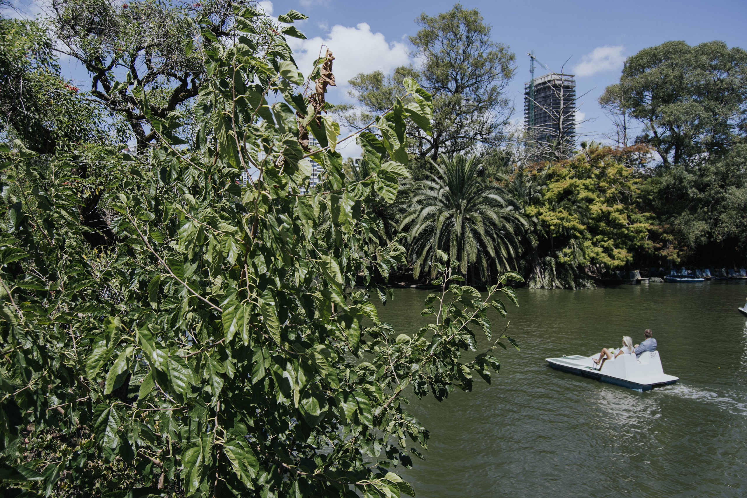 Wedding. Reportage shoots in Buenos Aires. Photographer @elmirkami in the city of Buenos Aires