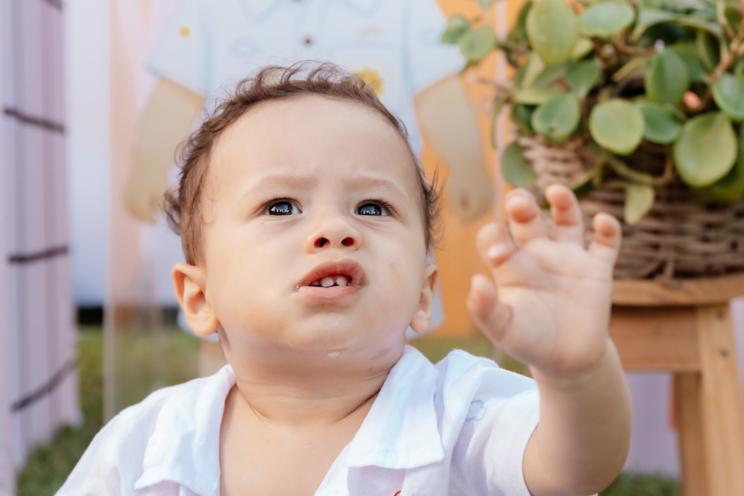 Bento 1 ano • Festa infantil em A Casa com Jardim | Fotografia de Família em Brasília e Recife
