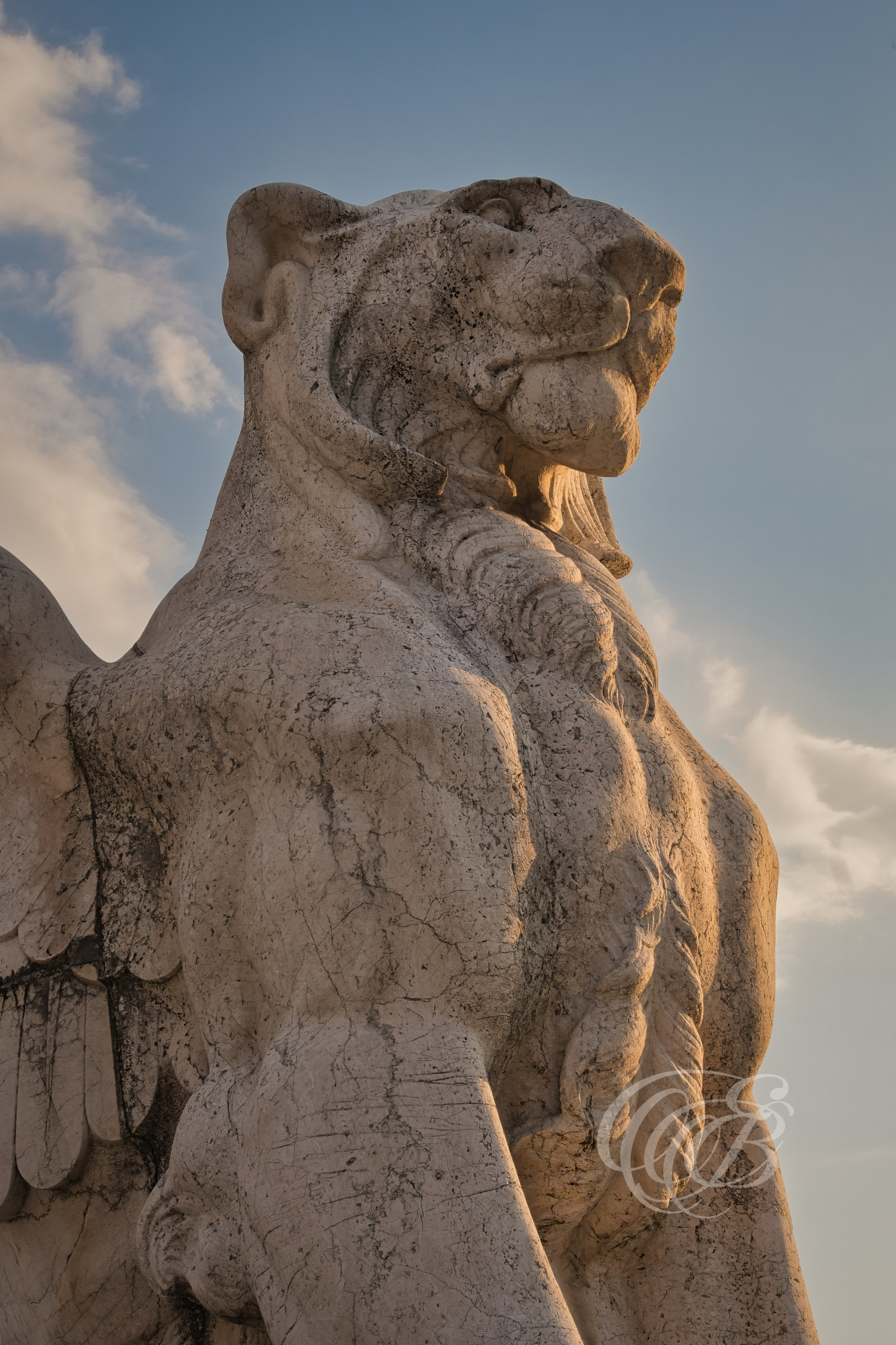 Rome Italy — Vittoriano winged lion sculpture — Eduardo Bartoli Fine Art Photography — Photograph of the winged lion architectural detail on the Vittoriano monument in Rome, Italy — photography by Eduardo Bartoli.