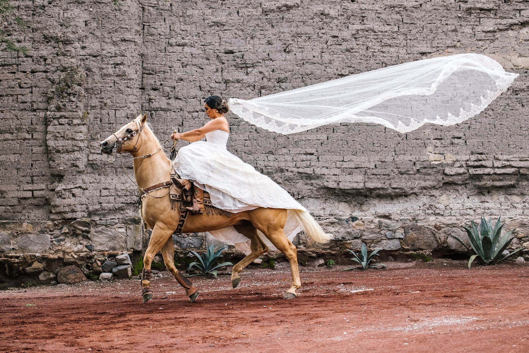 Galería Trash The Dress. Jorge Romero Fotógrafo de bodas