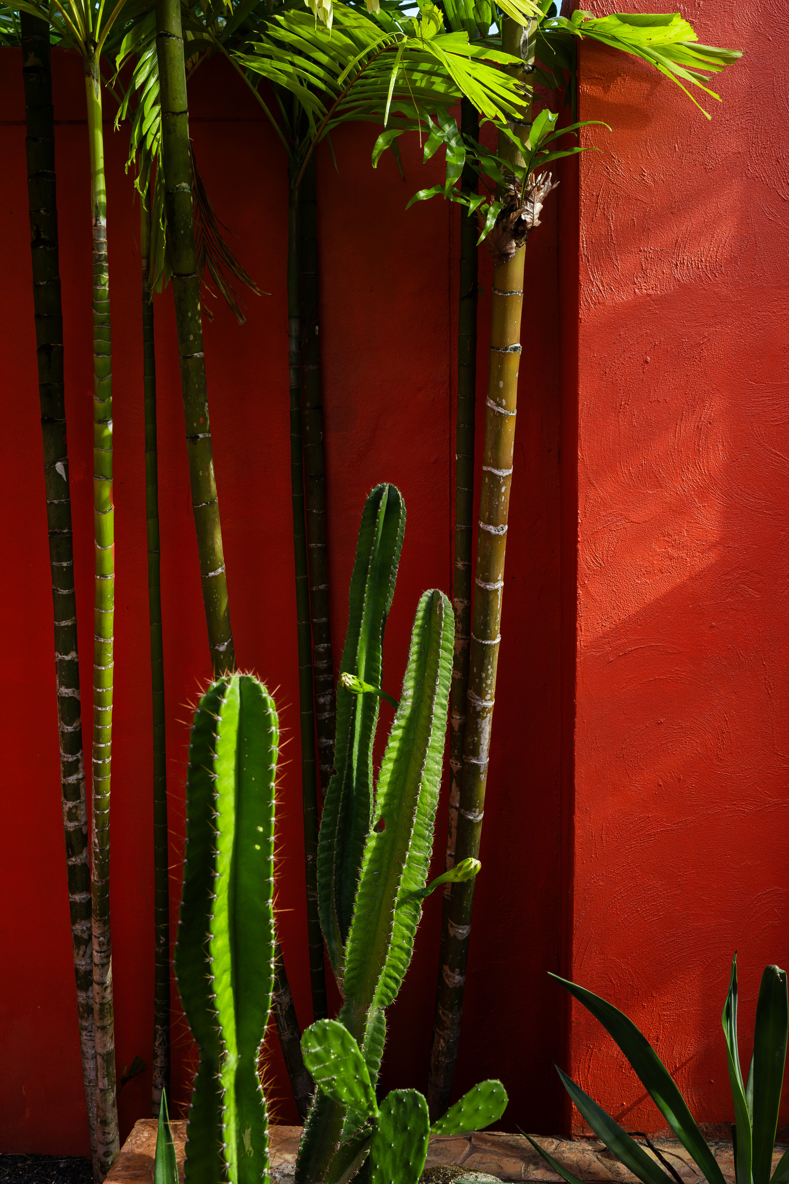 INTERIOR. Photographer Phuket