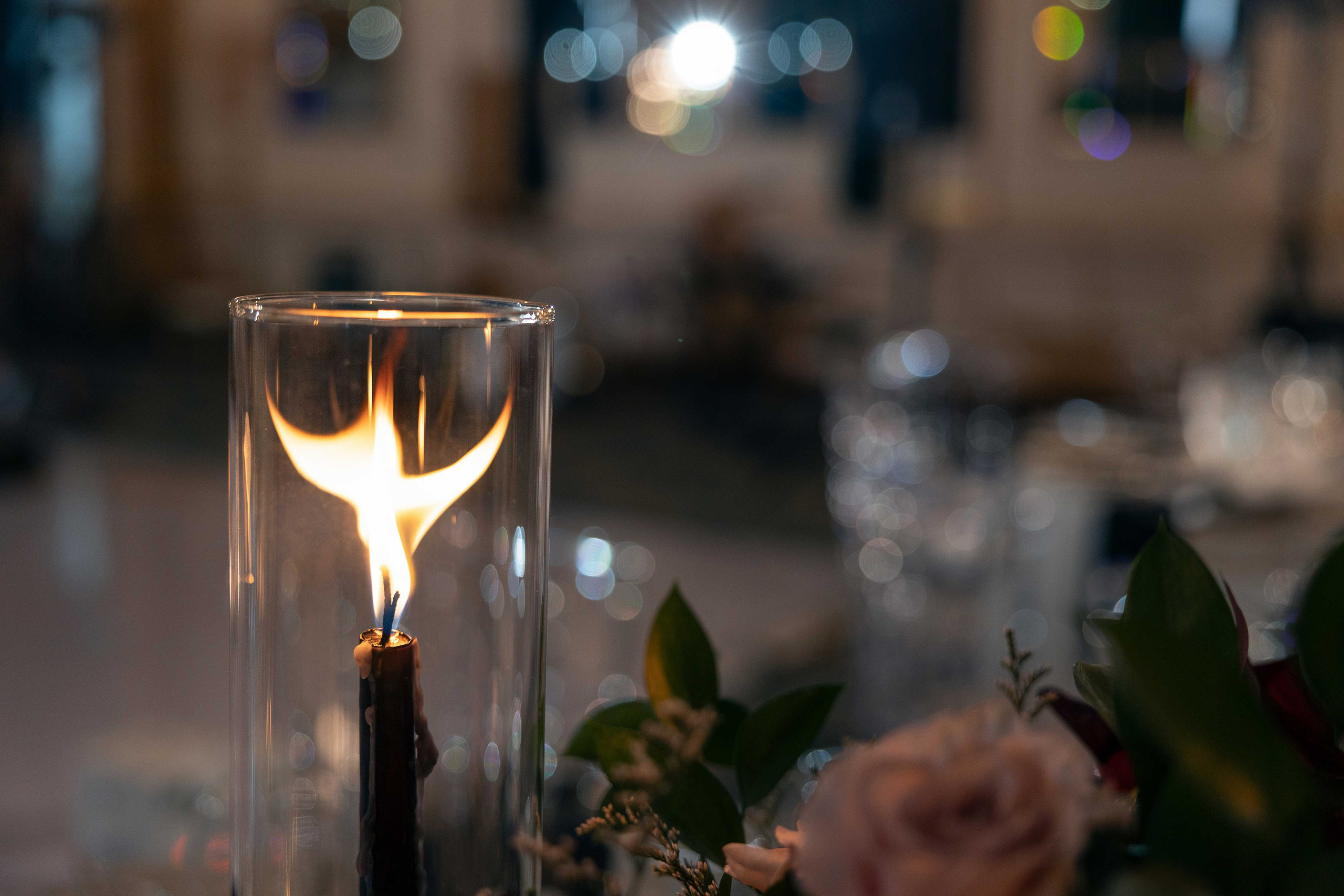 Danielle & Blake (The Fort Garry). Wedding Photographer in Winnipeg — Cinematic & Timeless by Vitiuk Photography