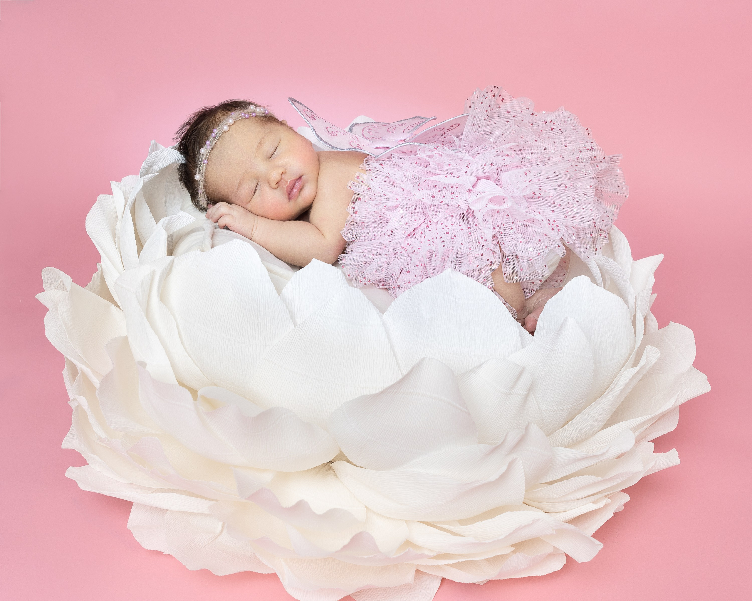NEWBORN. Je suis photographe portraitiste et je réalise des portraits à toutes les étapes de votre vie! Bienvenue dans mon studio à Westmount, Qc