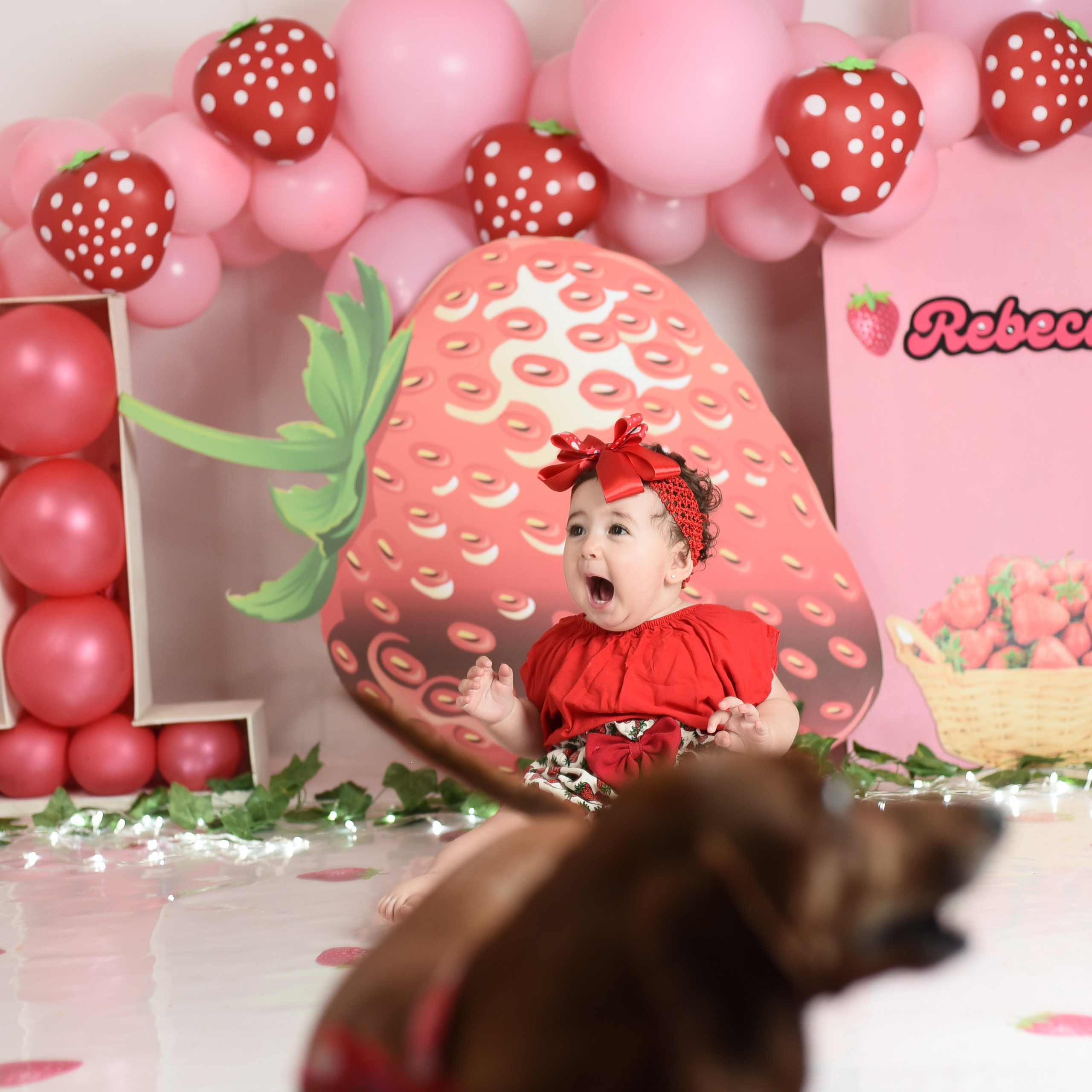 Sesión 1er año de Rebeca. Temática: Frutillita + Mini Sesión Navideña. Fotografo de casamiento en misiones y fotógrafo de familia  Posadas