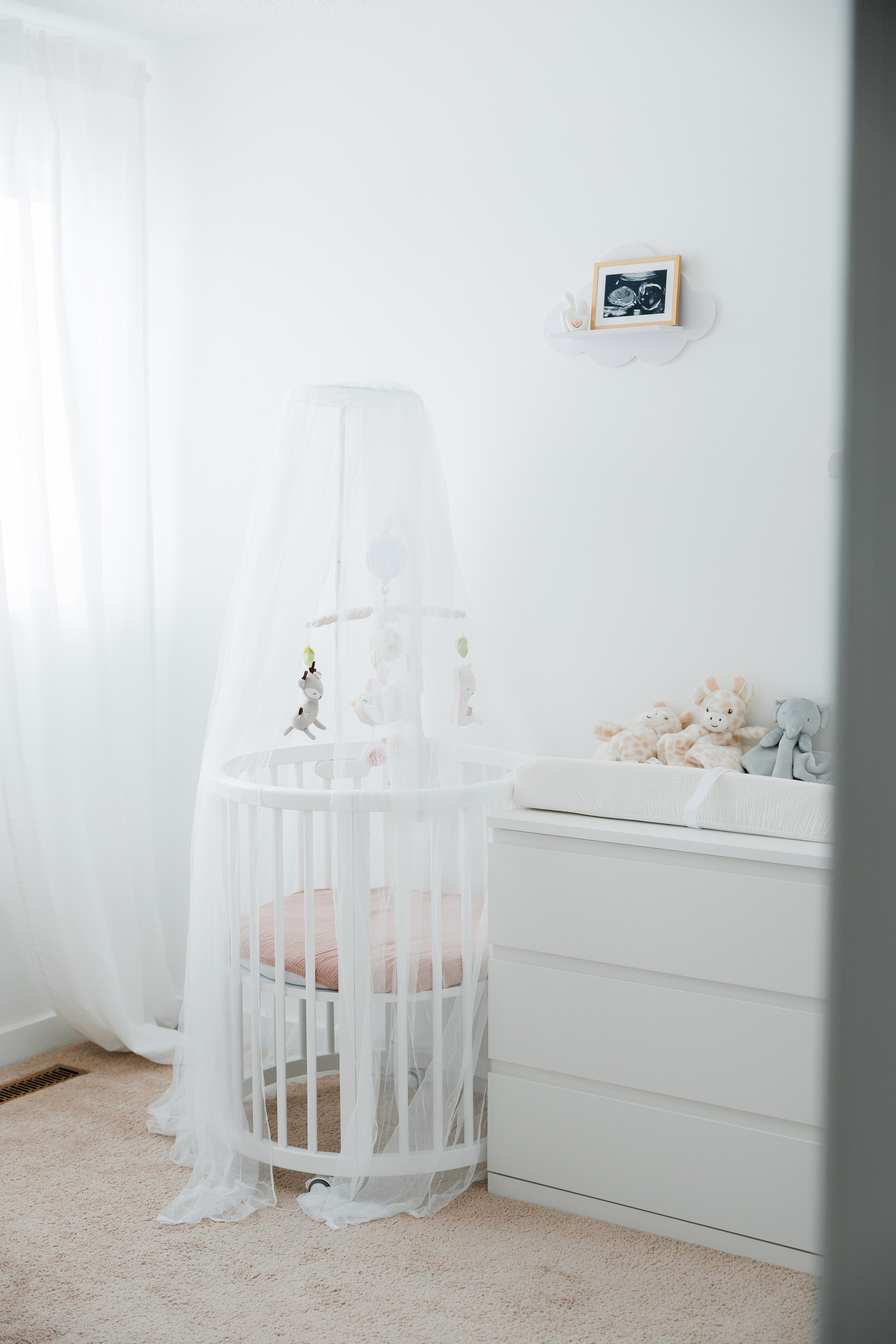New born. Photographer Elvira Hryshchenko