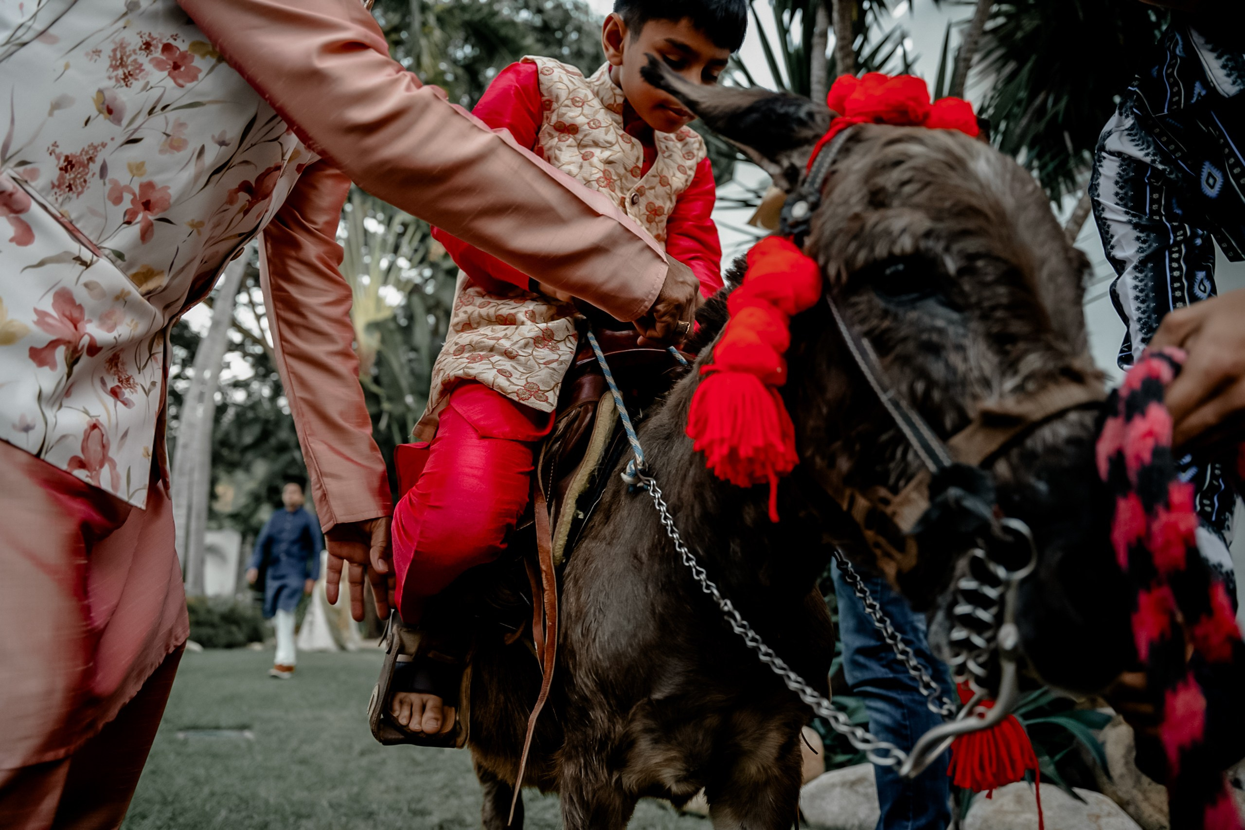 Ratchi + Arjun. Elopement & Lifestyle Wedding Documentary Photographer
