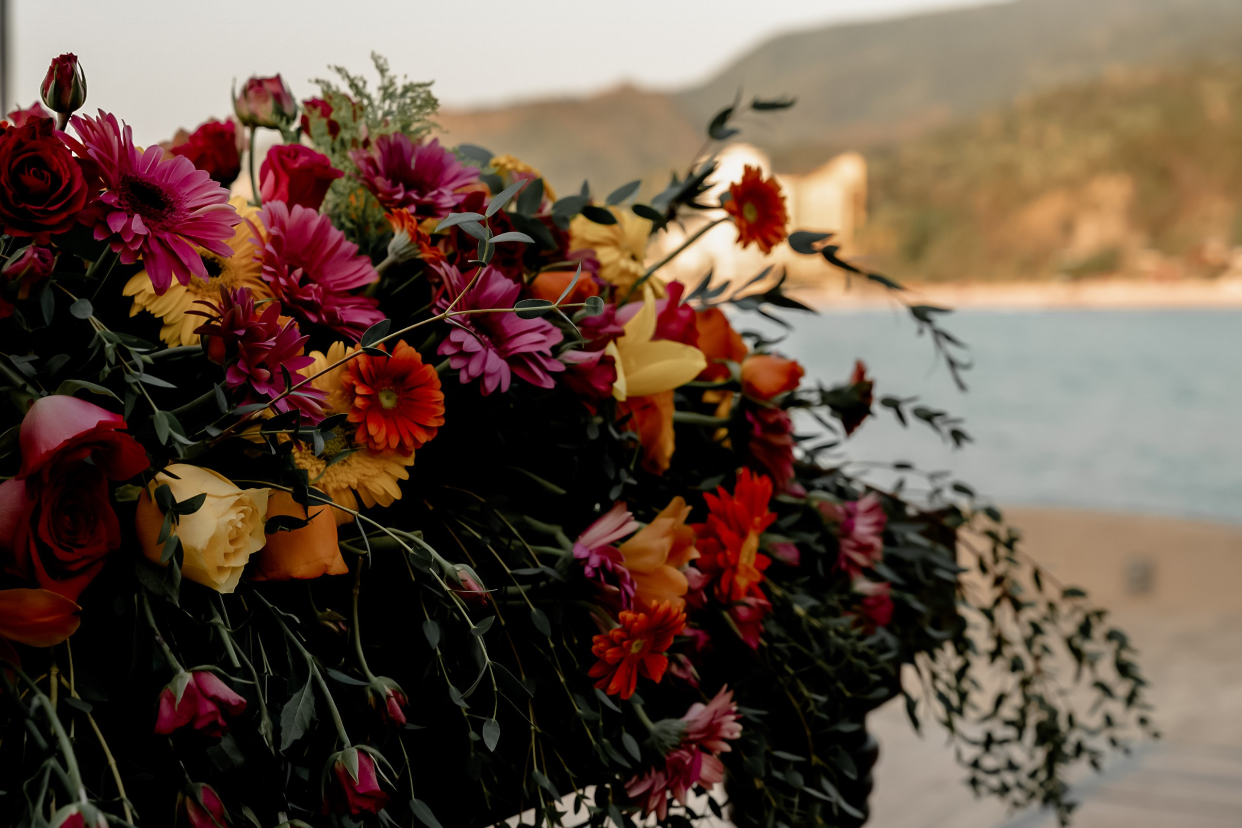 Ratchi + Arjun. Elopement & Lifestyle Wedding Documentary Photographer
