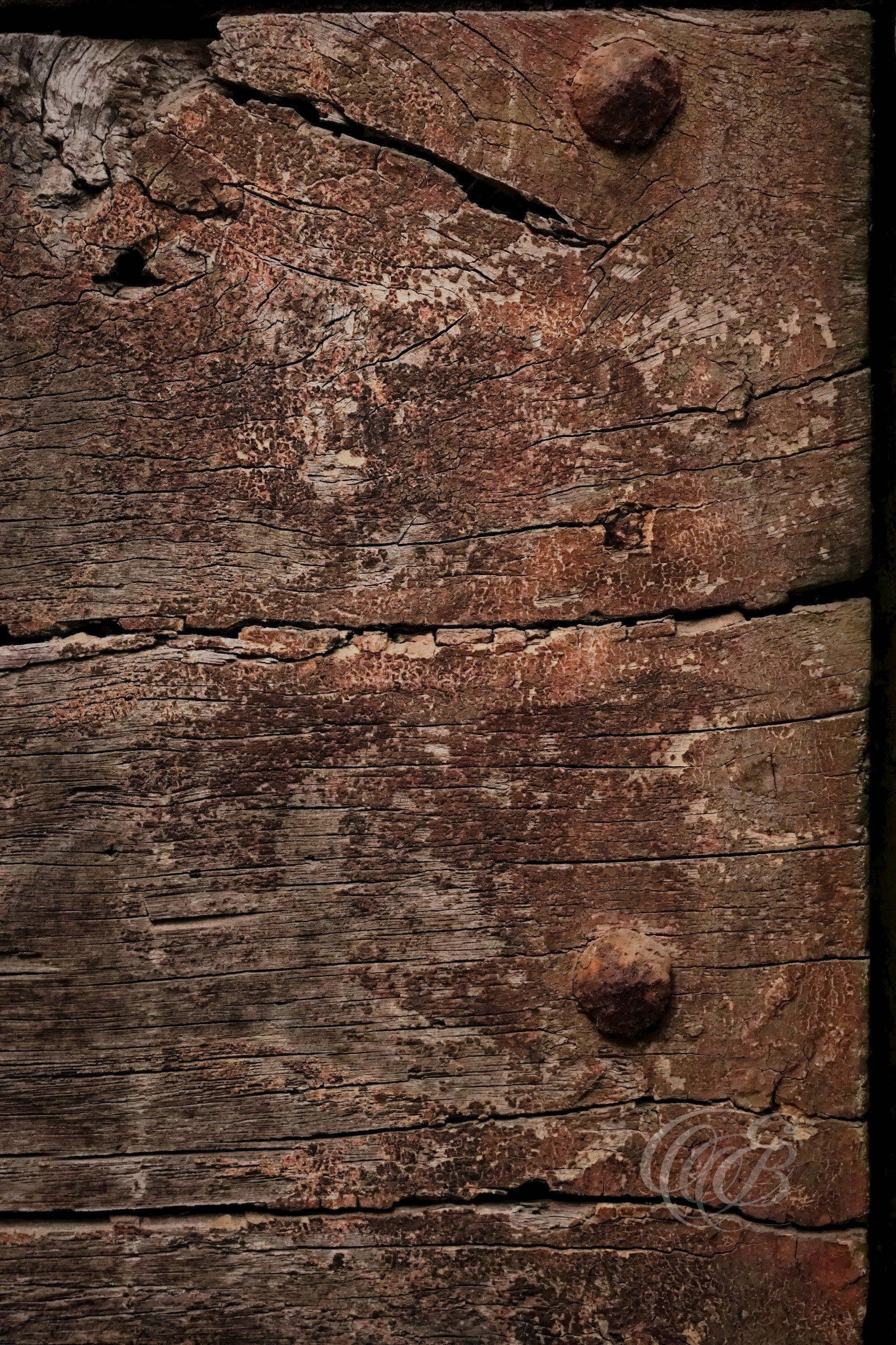 Street Photography — Rome, Italy — Old Door Close-Up II — Detail of an old wooden door in Rome, highlighting aged surfaces, traditional craftsmanship, and subtle traces accumulated through generations of use — Eduardo Bartoli Photography.