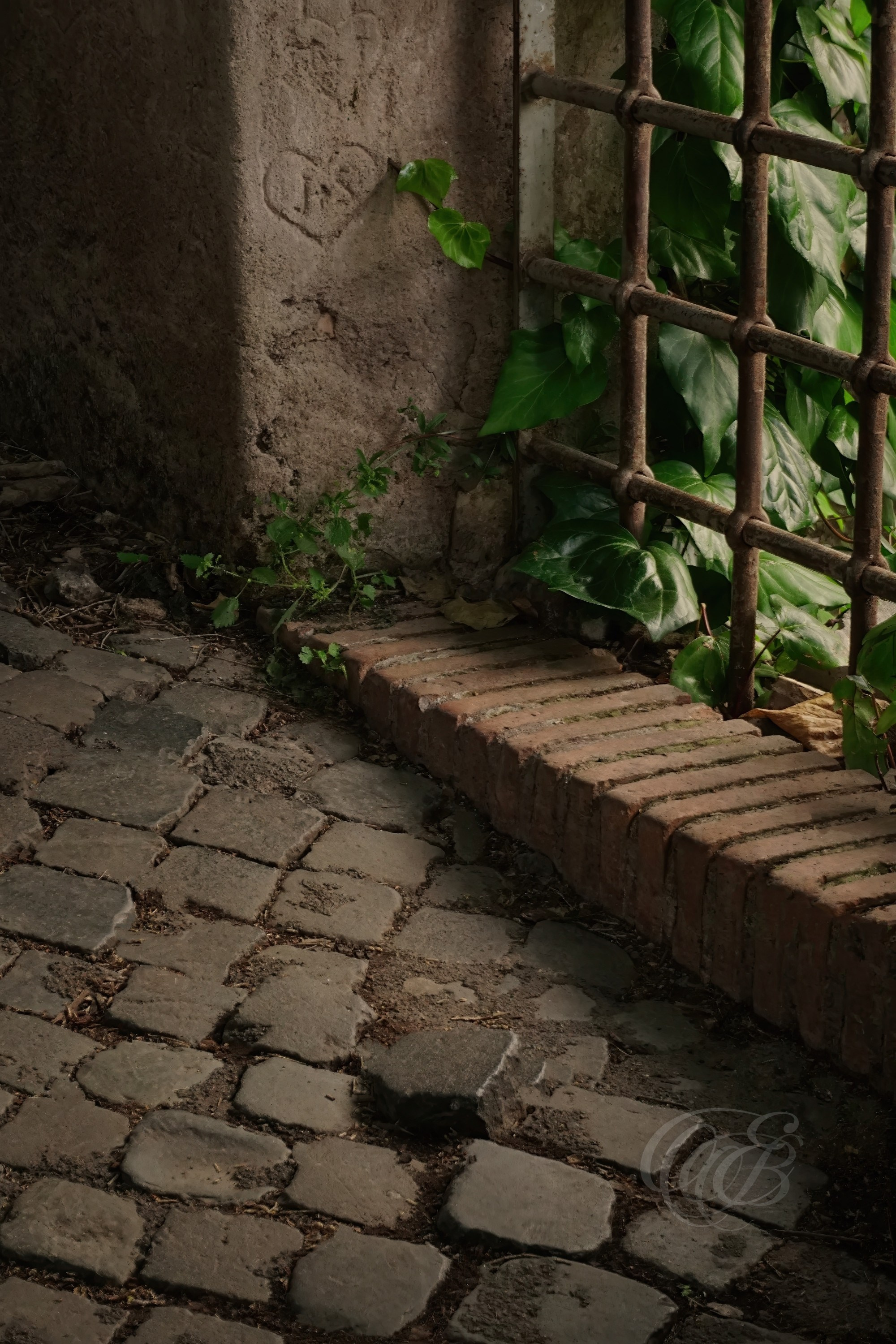 Street Photography — Rome, Italy — Via di S. Bonaventura — Historic street along Rome’s Palatine Hill near the church and convent of San Bonaventura, surrounded by ancient sites and the secluded character of one of the city’s oldest areas — Eduardo Bartoli Photography.