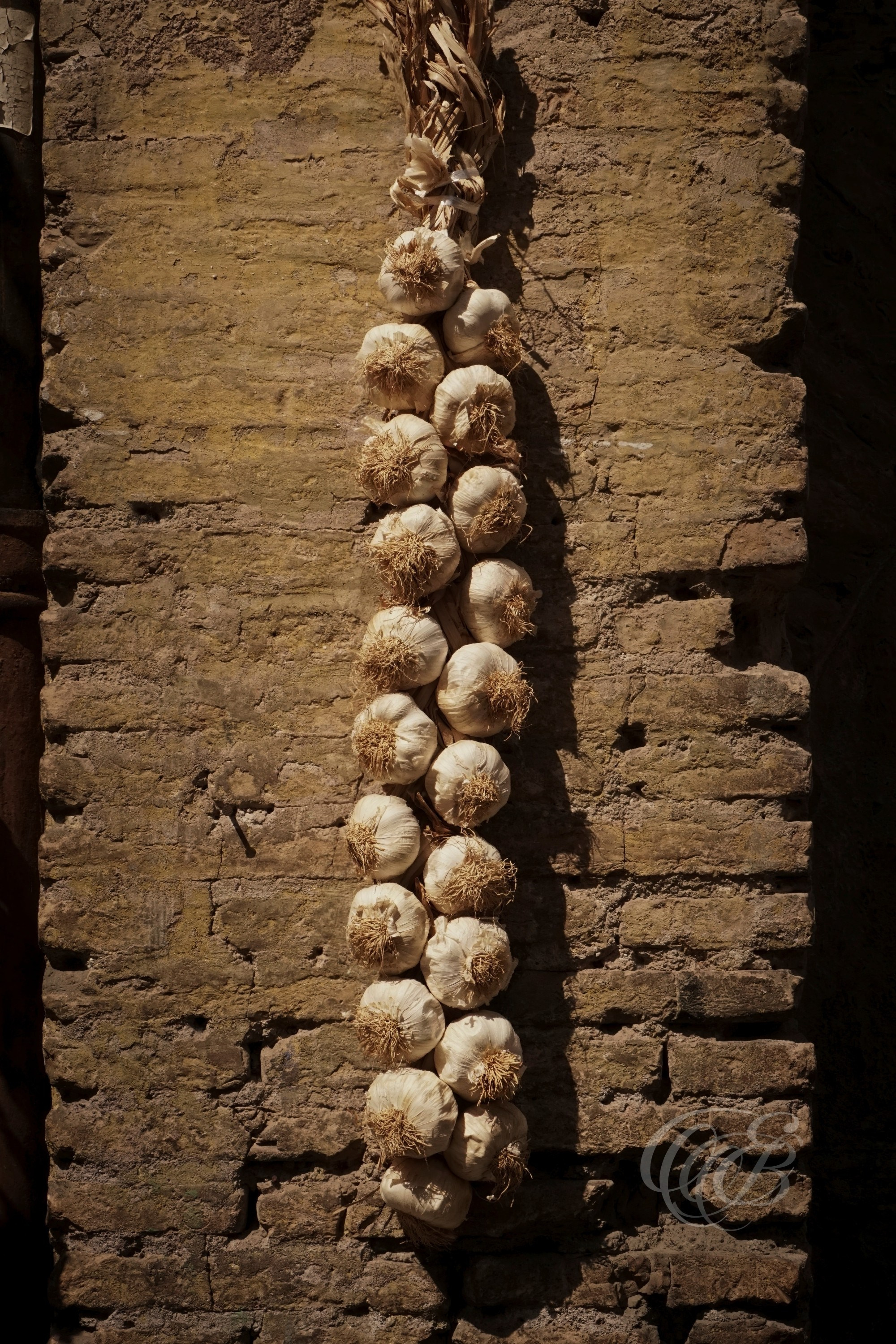 Street Photography — Rome, Italy — Roman Garlic — Garlic in the streets of Rome, reflecting an everyday ingredient deeply connected with Italian culinary tradition, Mediterranean culture, and the flavors of Roman life — Eduardo Bartoli Photography.