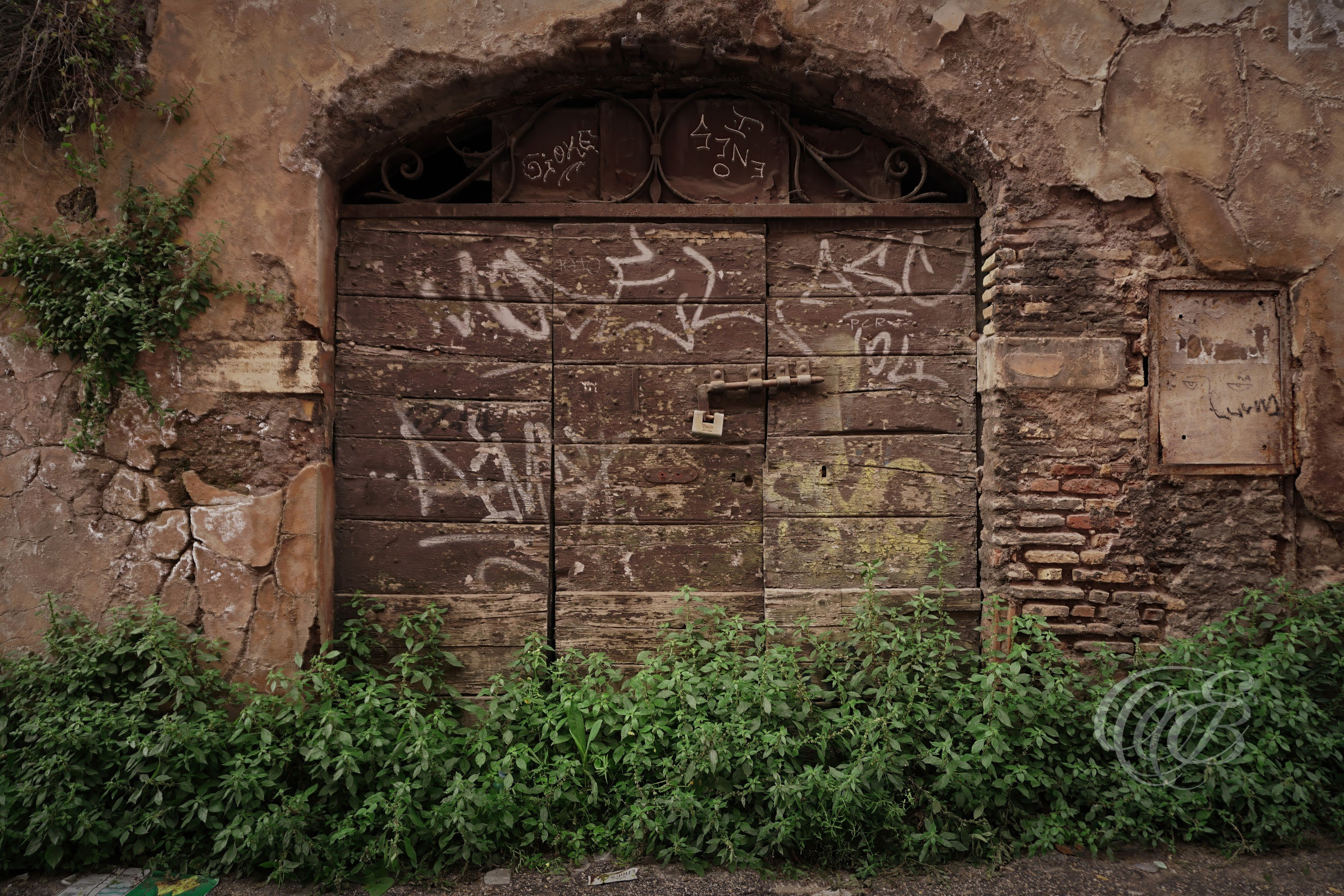 Street Photography — Rome, Italy — Rugged Old Door — Heavily weathered doorway and deteriorating wall overtaken by plants in Rome, where aged architecture, natural growth, and the passage of time converge — Eduardo Bartoli Photography.