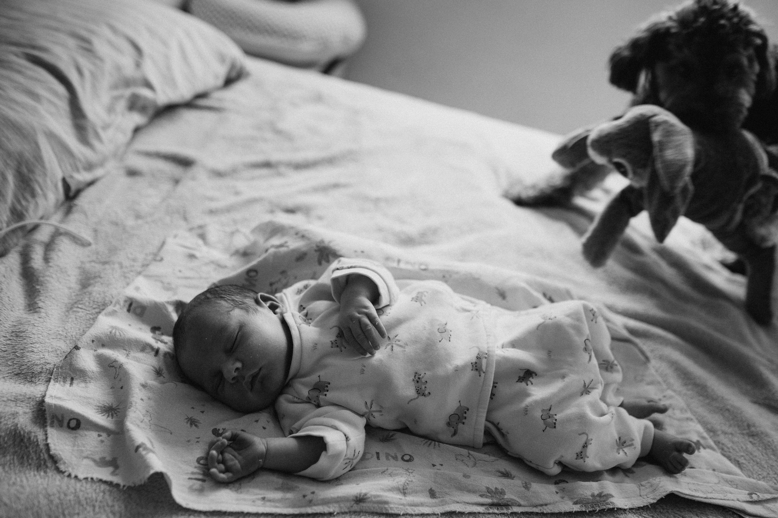 7 dias do Felipe. Fotografa documental de familia e nascimento em Florianópolis SC Daria Ermolaev