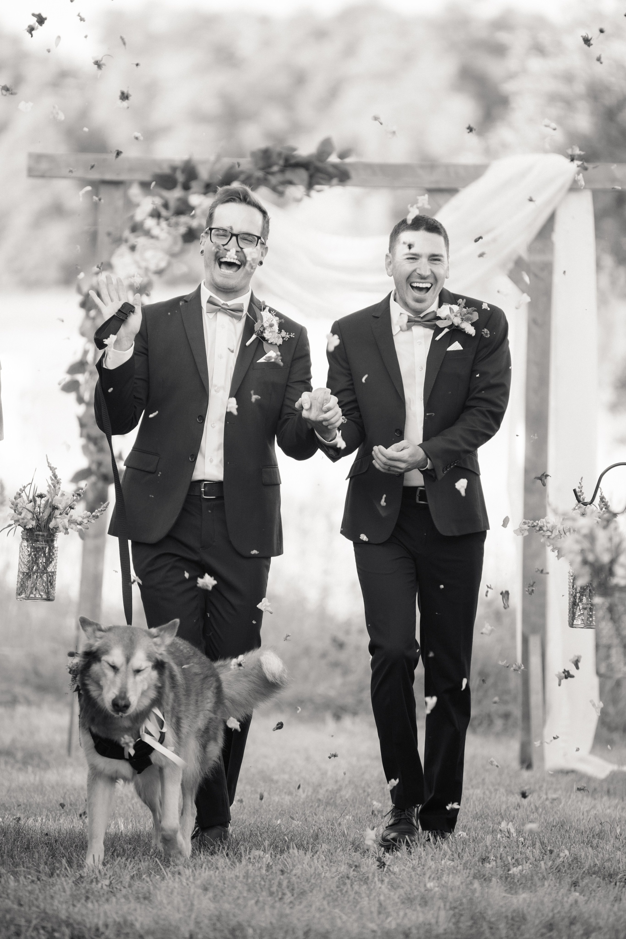 Hamilton Wedding Photographer
