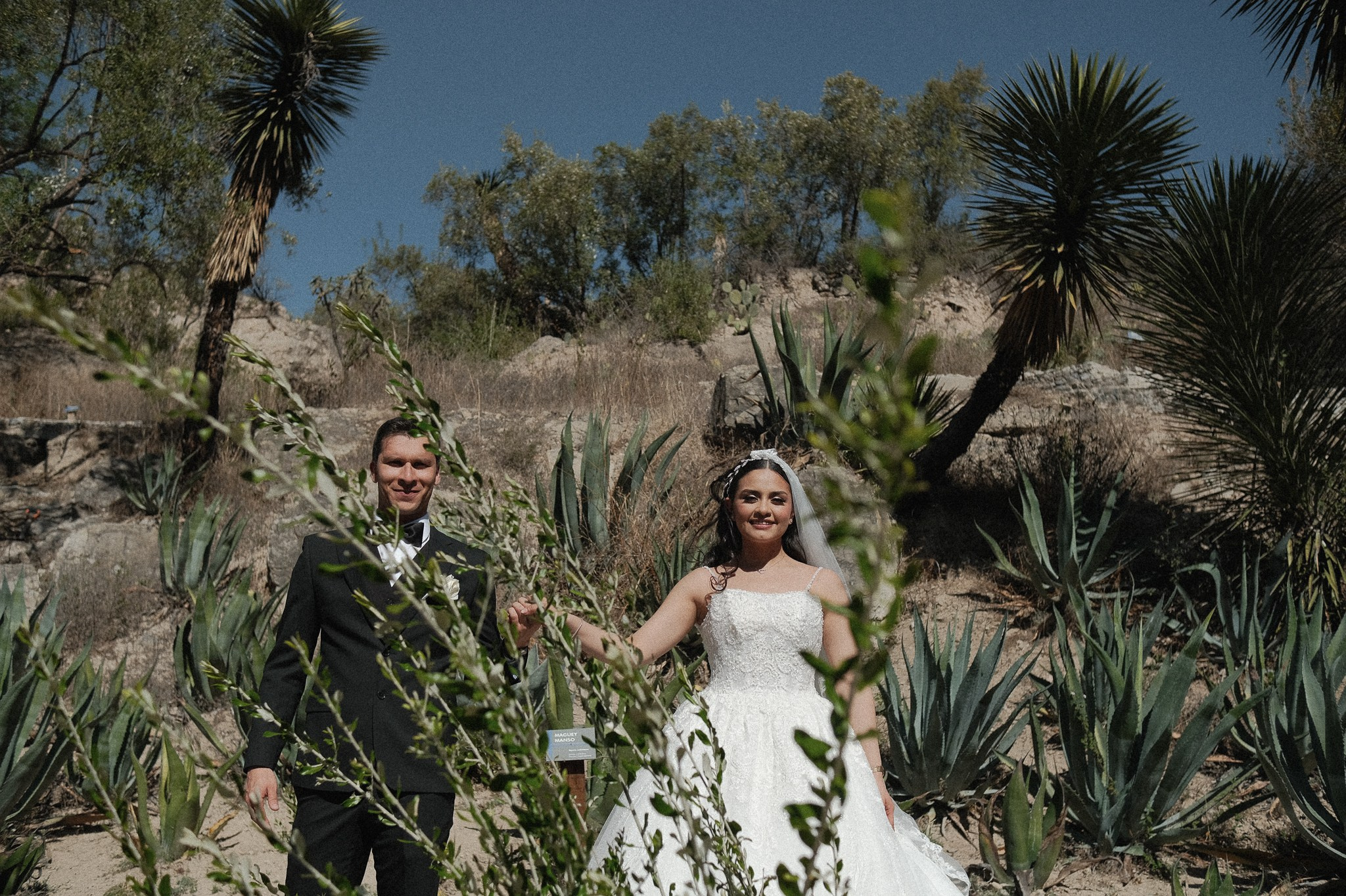 Ann y Carlos: Boda en Armadillo de los Infante. Fotógrafo de bodas