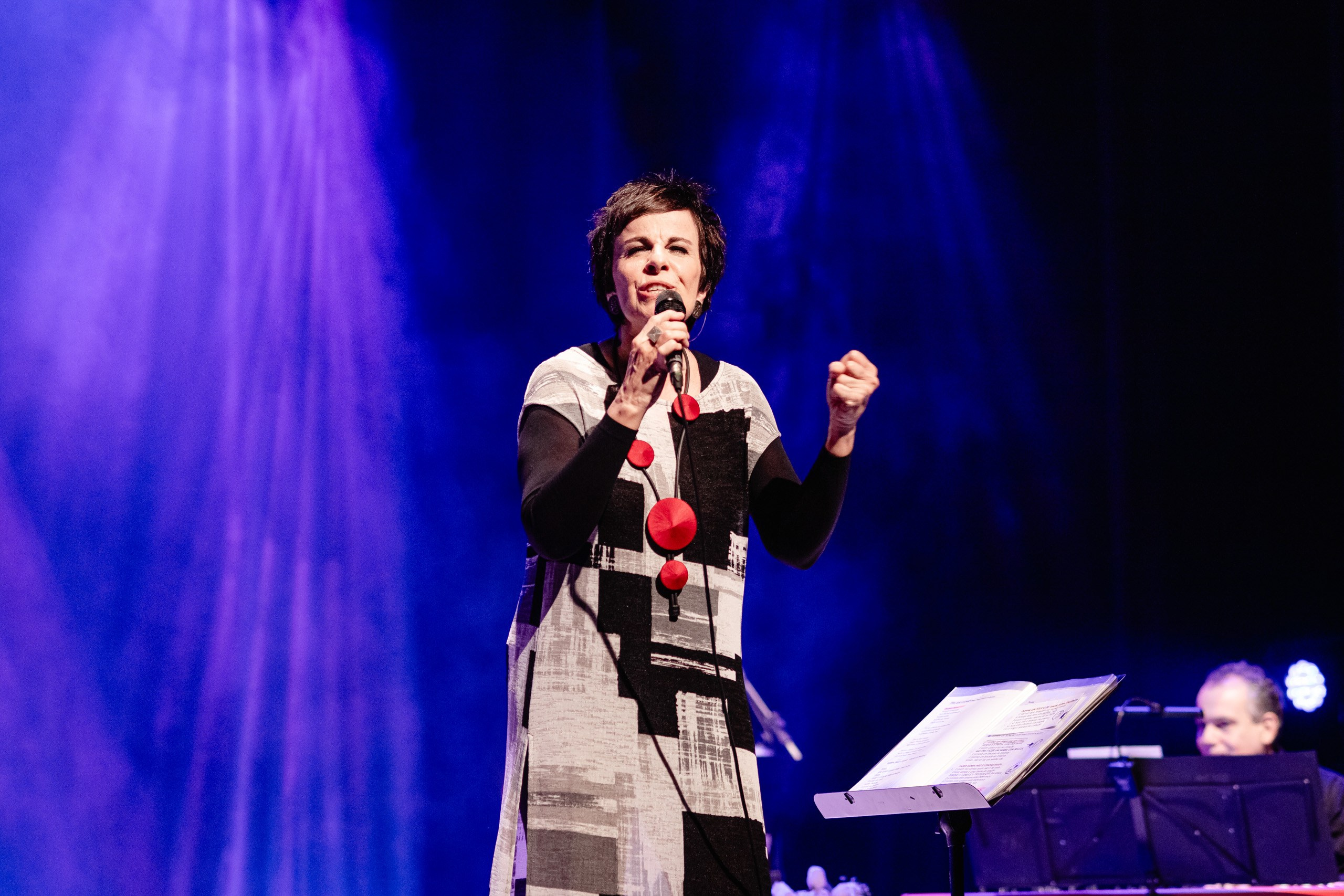 Fotografia de show da cantora Leila Pinheiro no Teatro Municipal de Itajaí