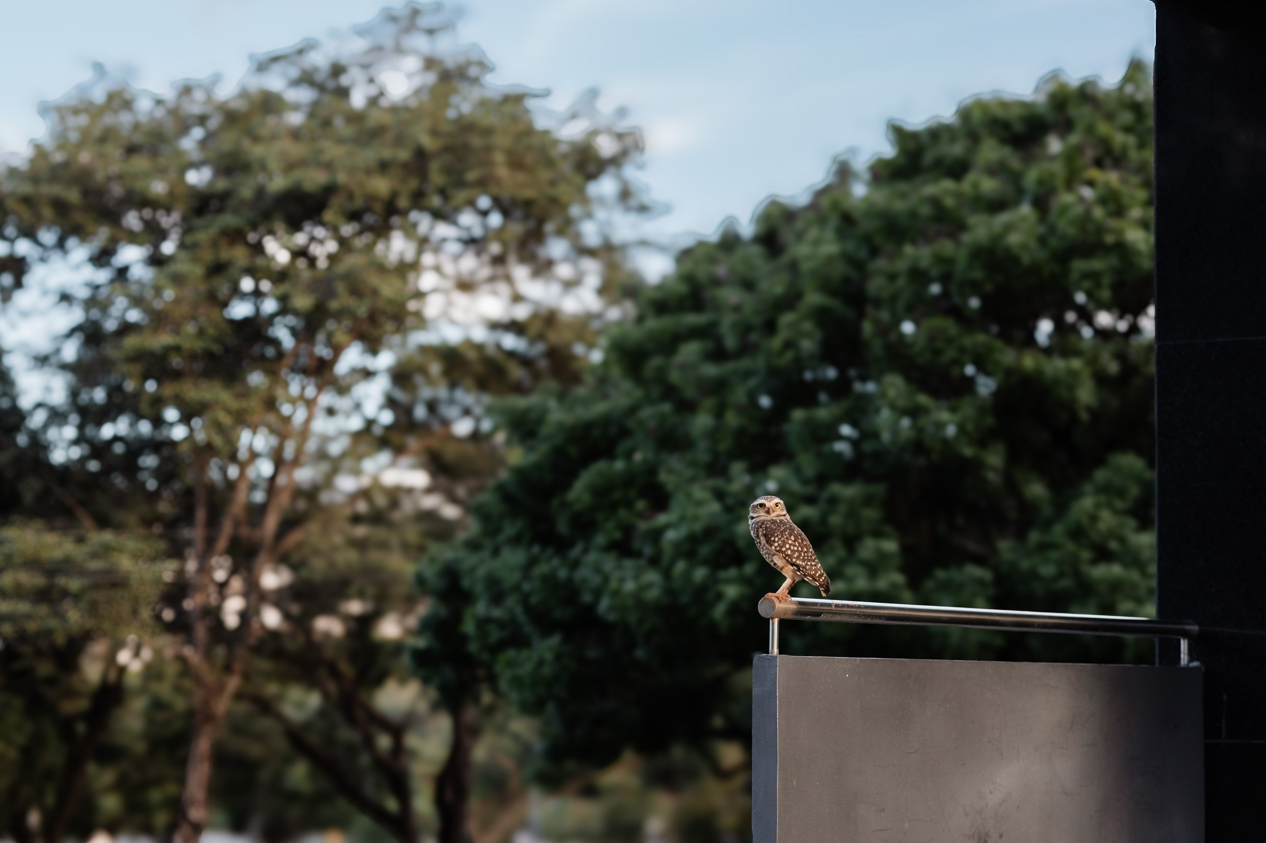 Ensaio mãe e filhos em Brasília, Asa Norte | Fotografia de Família