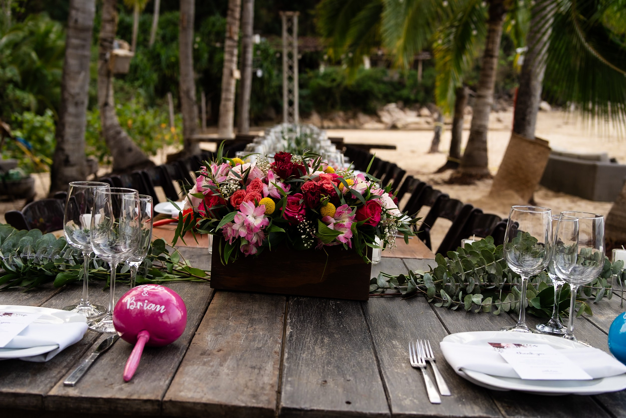 Aggie & Brian. Fotografía de Bodas Profesionales en Puerto Vallarta y Riviera Nayarit