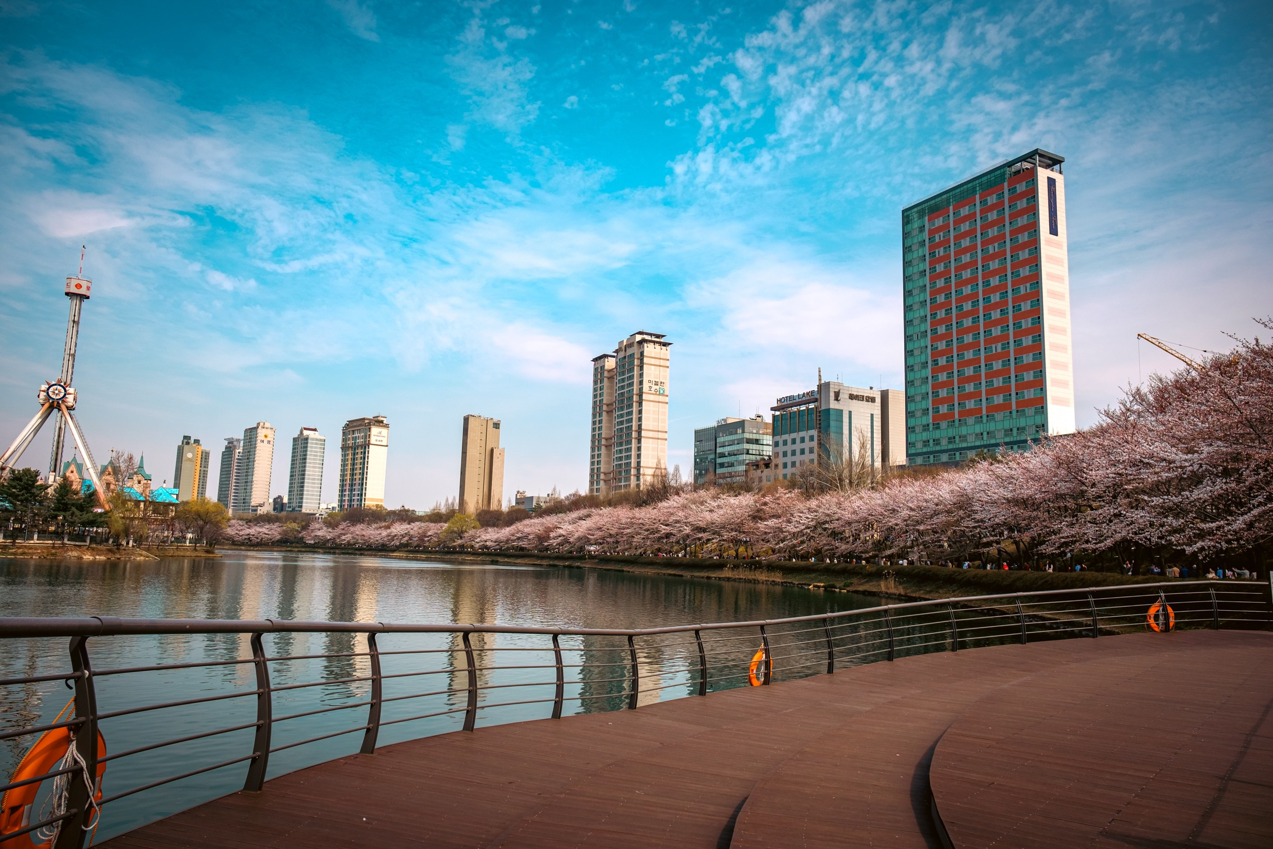 Seoul: cherry blossom. Фотограф в Сеуле, Южная Корея Наталья Доброквашина
