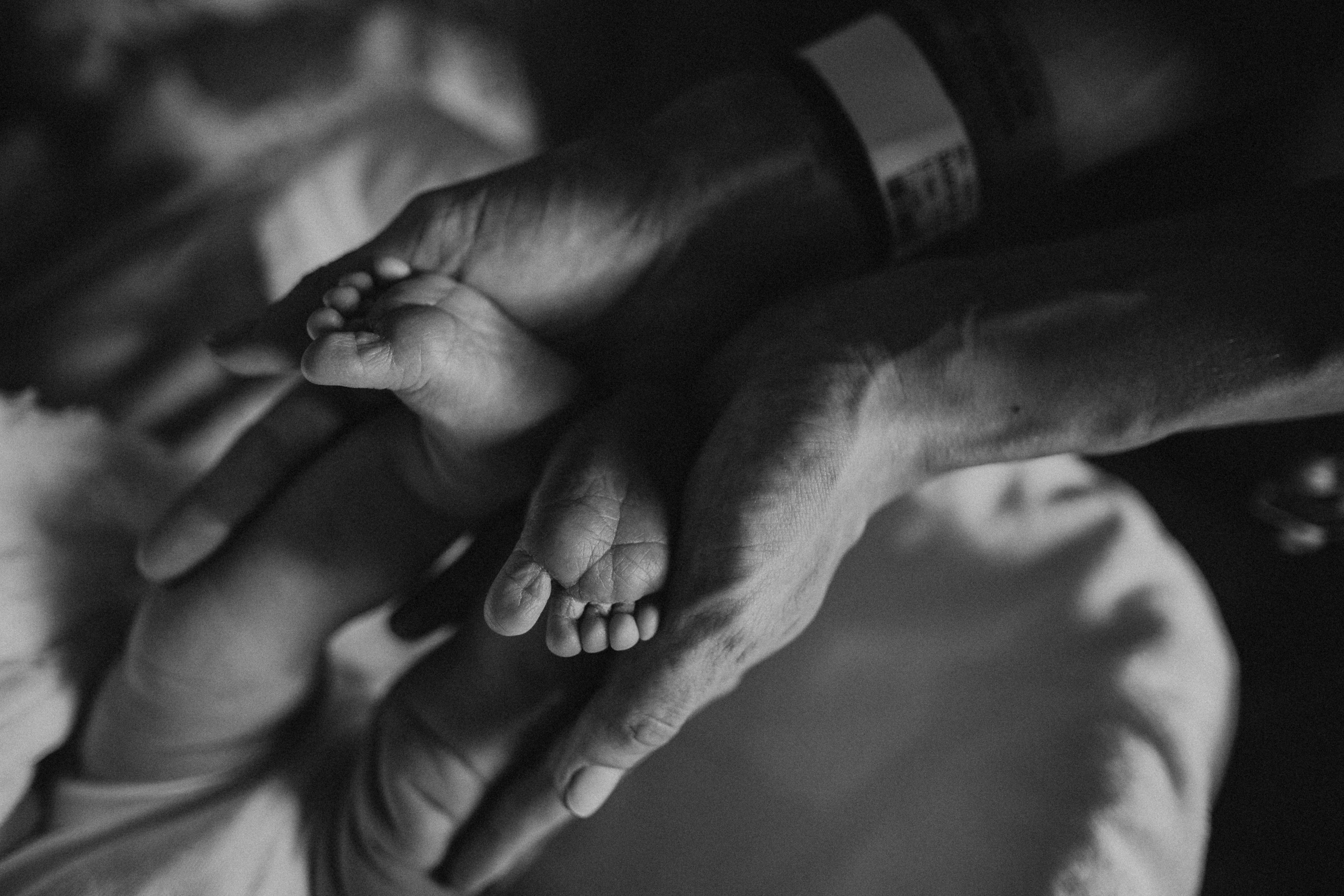 Stories. Fotografa de família e crianças em Florianópolis SC Daria Ermolaev