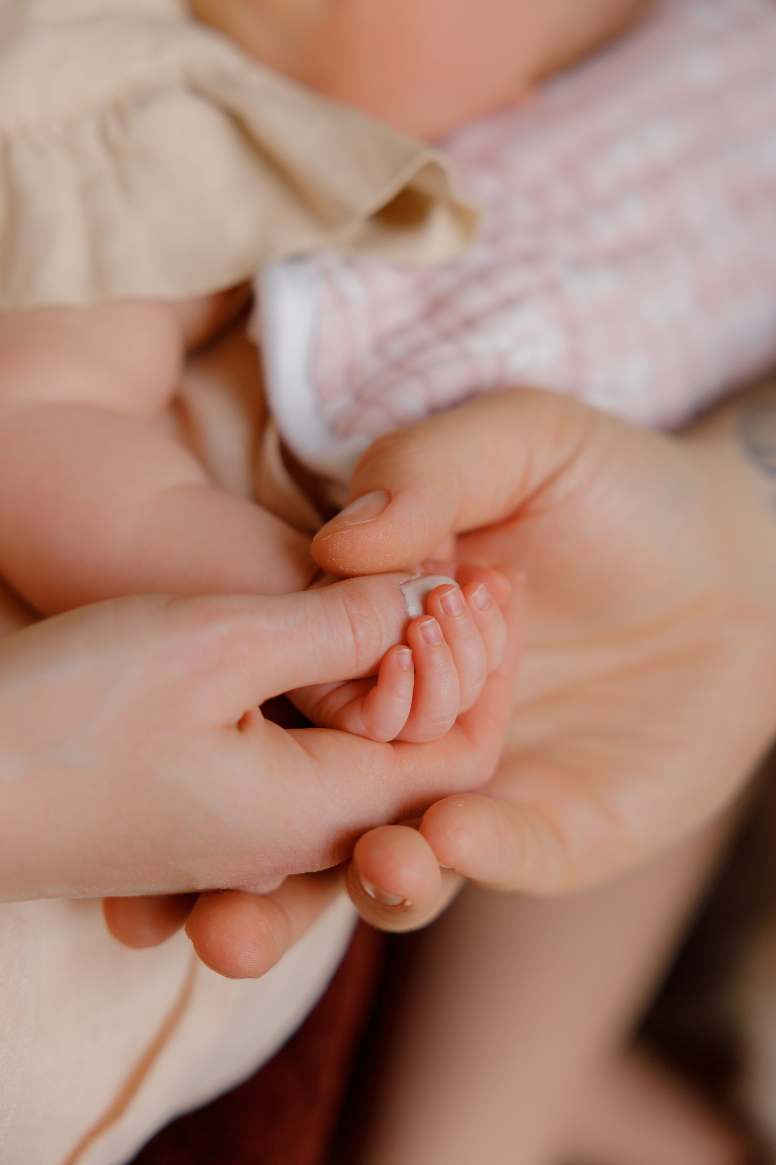 New born. Photographer Elvira Hryshchenko