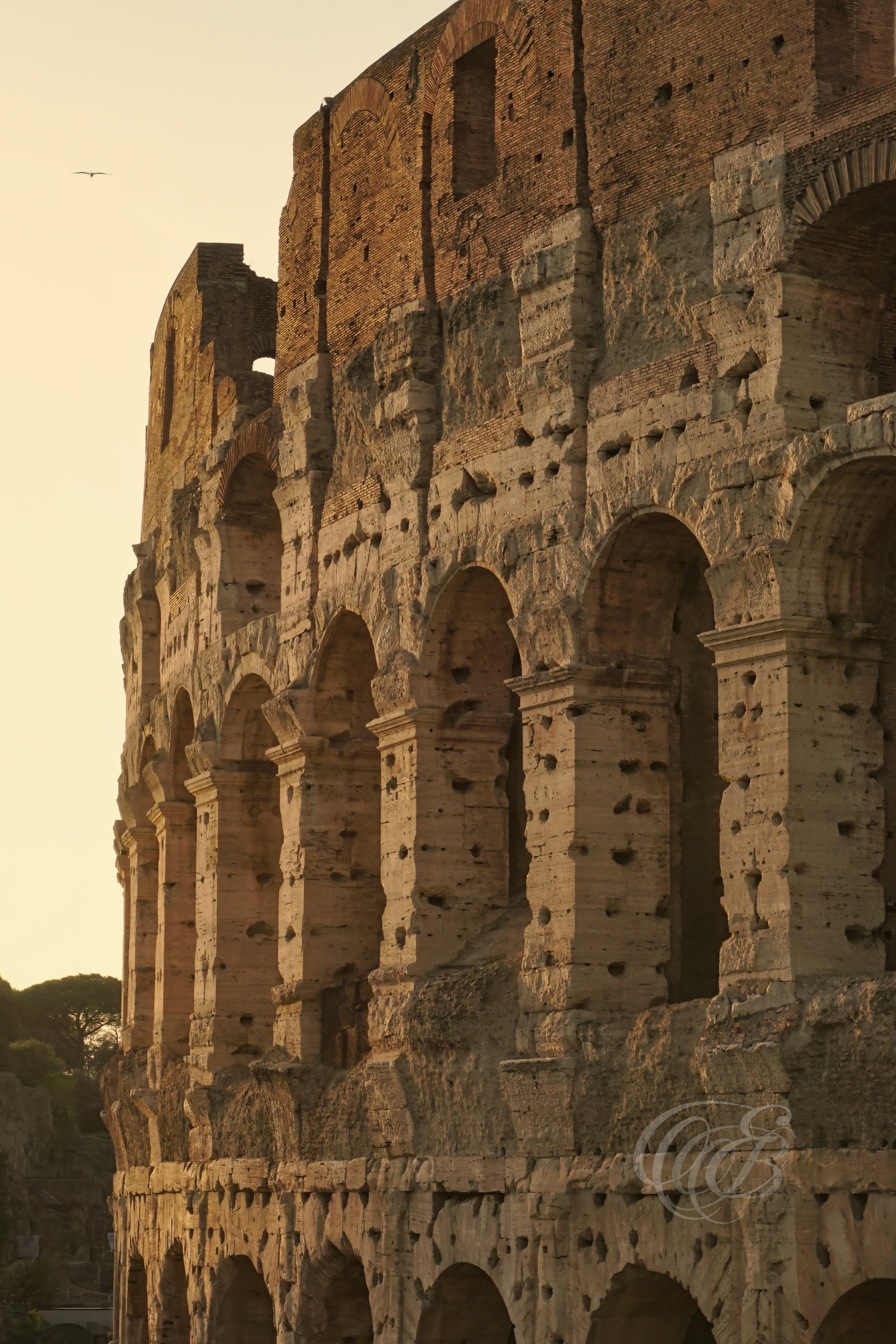 Rome Italy — Colosseum Facade Detail at Sunset — Eduardo Bartoli Fine Art Photography — Photograph of the weathered stone façade of the Colosseum illuminated by sunset light in Rome, Italy — photography by Eduardo Bartoli.