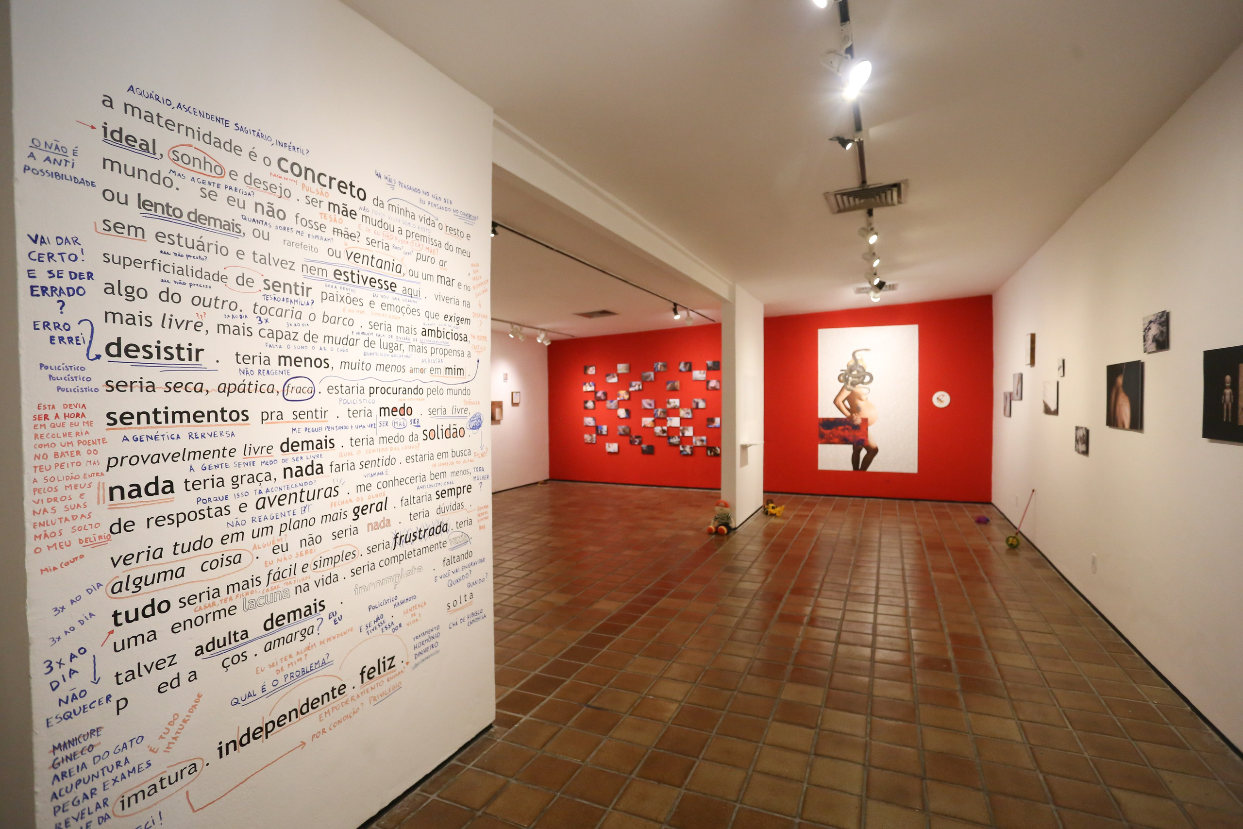 CV. Curator Maíra C. Gamarra