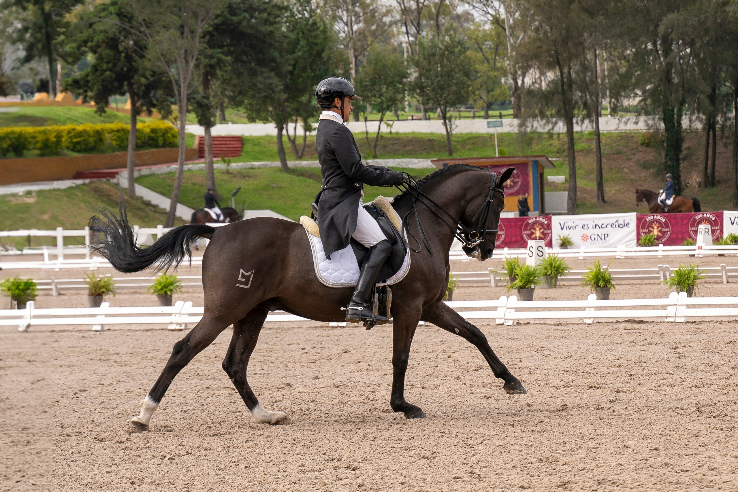 Vacation photoshoot in Mexico City. Capture your trip with a professional photographer. Horse riding dressage doma clasica show jumping Tour. Ekaterina Frolova photography