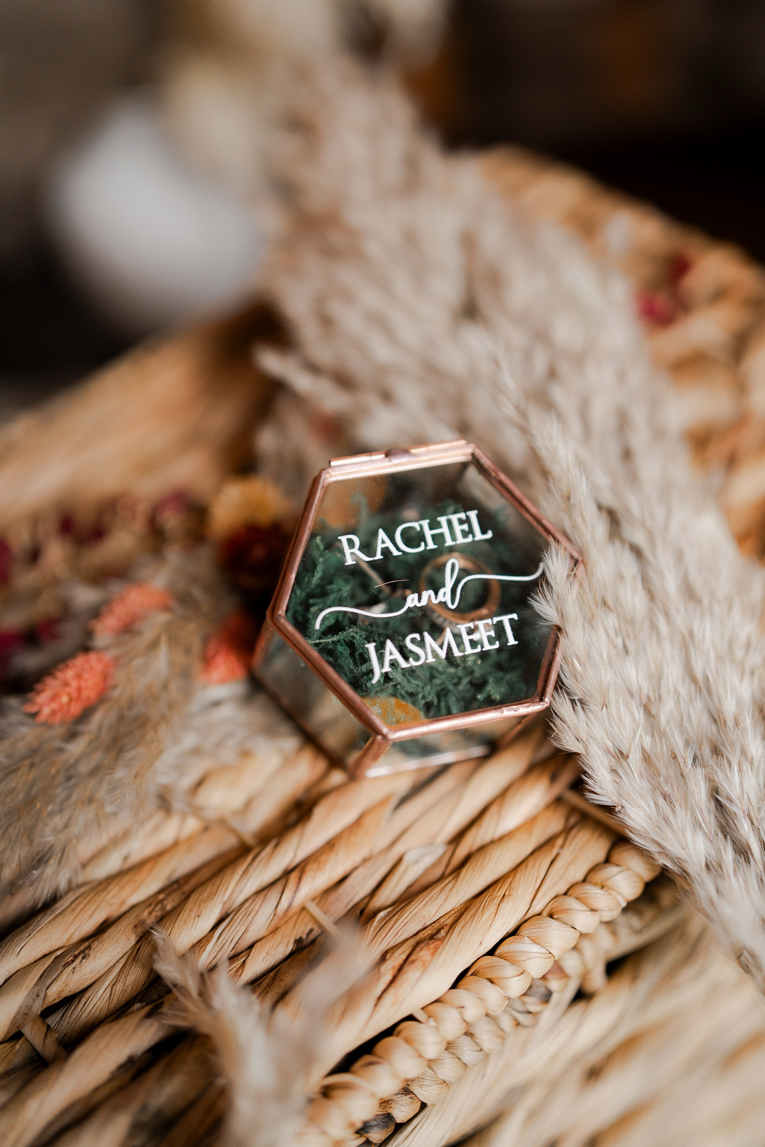 Jasmeet & Racheal’s Punjabi-Canadian Wedding Shoot | Welland, Niagara Falls