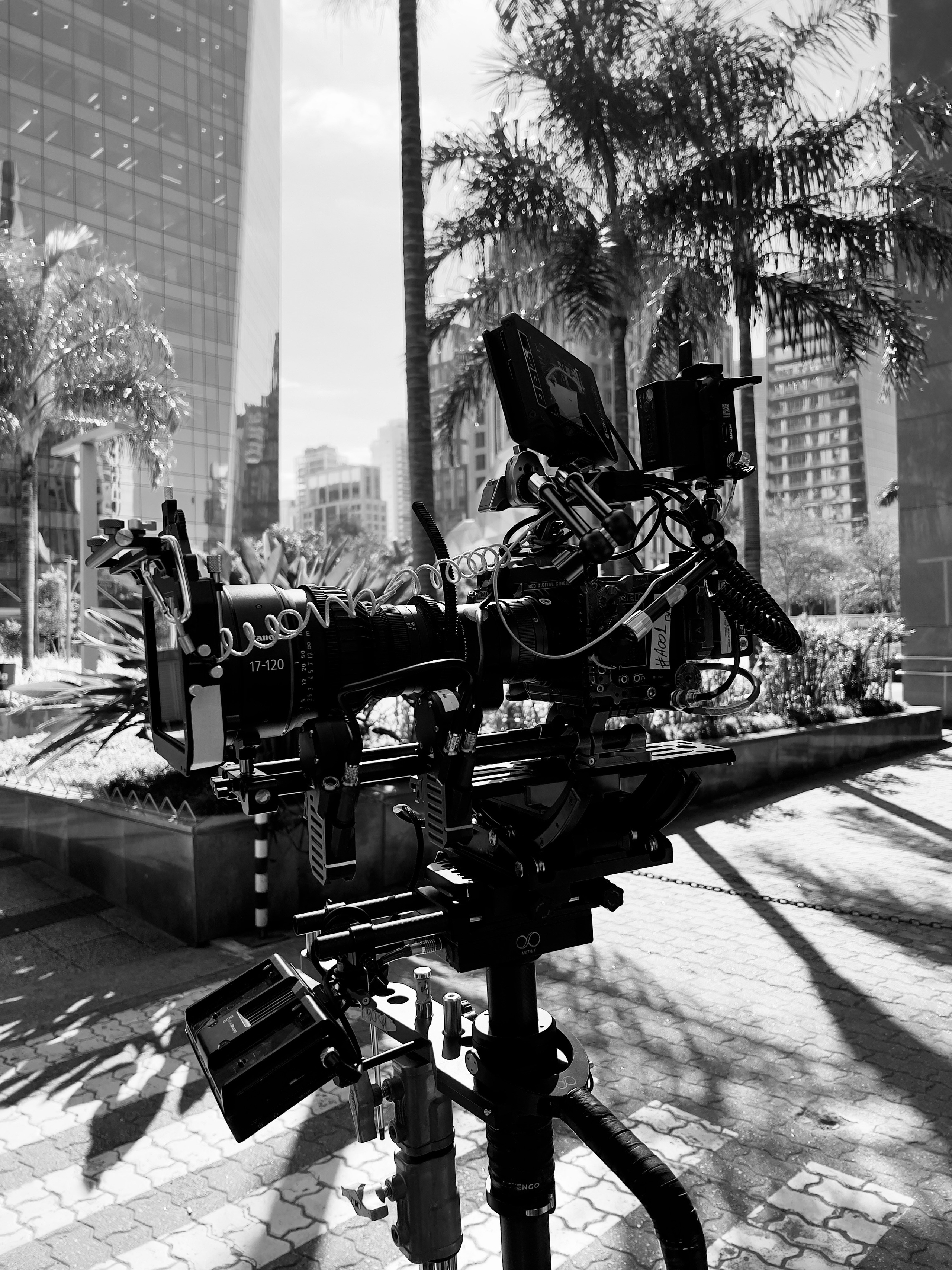 Fotografia. Gustavo Visotto
