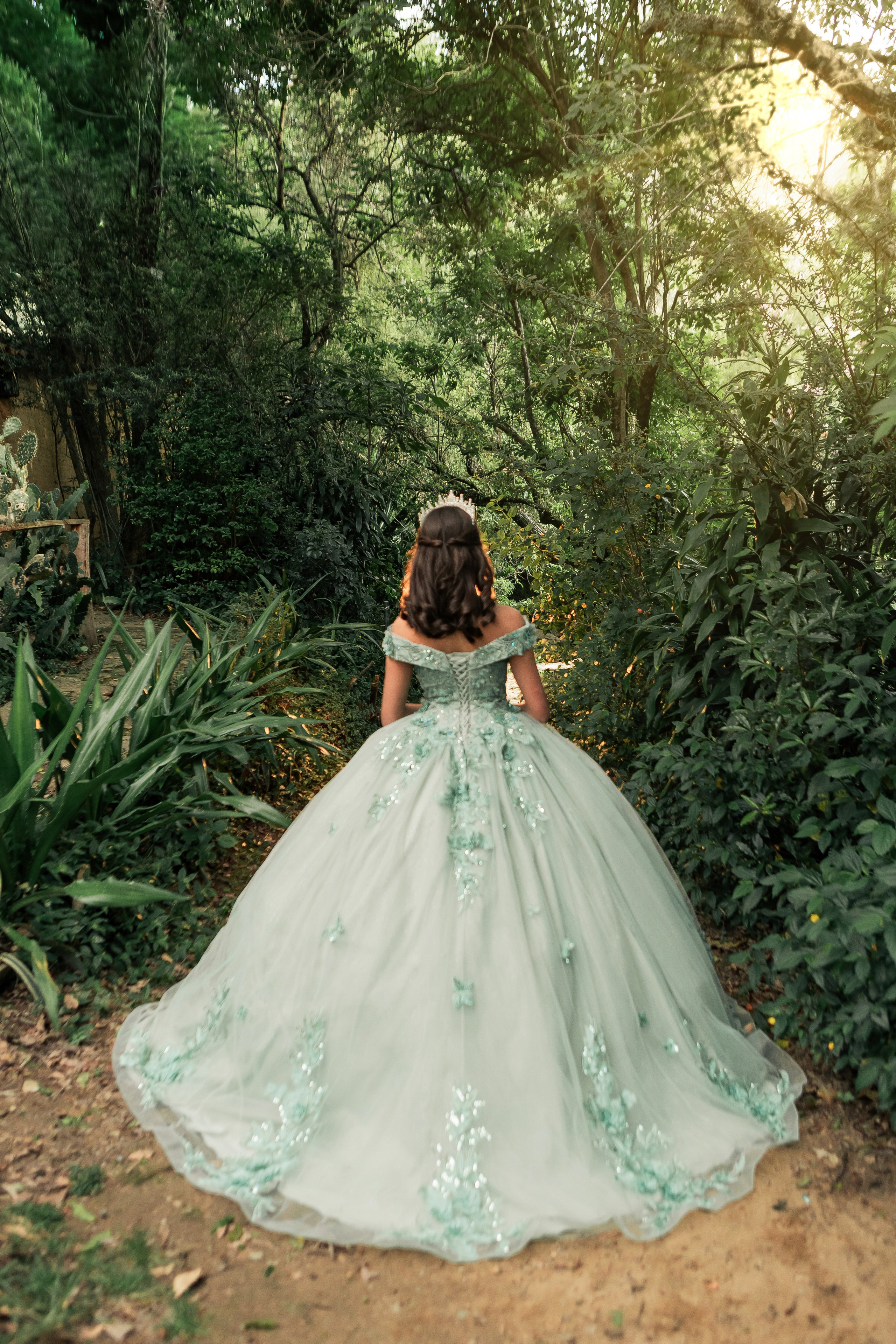 XV LAURA. FOCALMAGIC