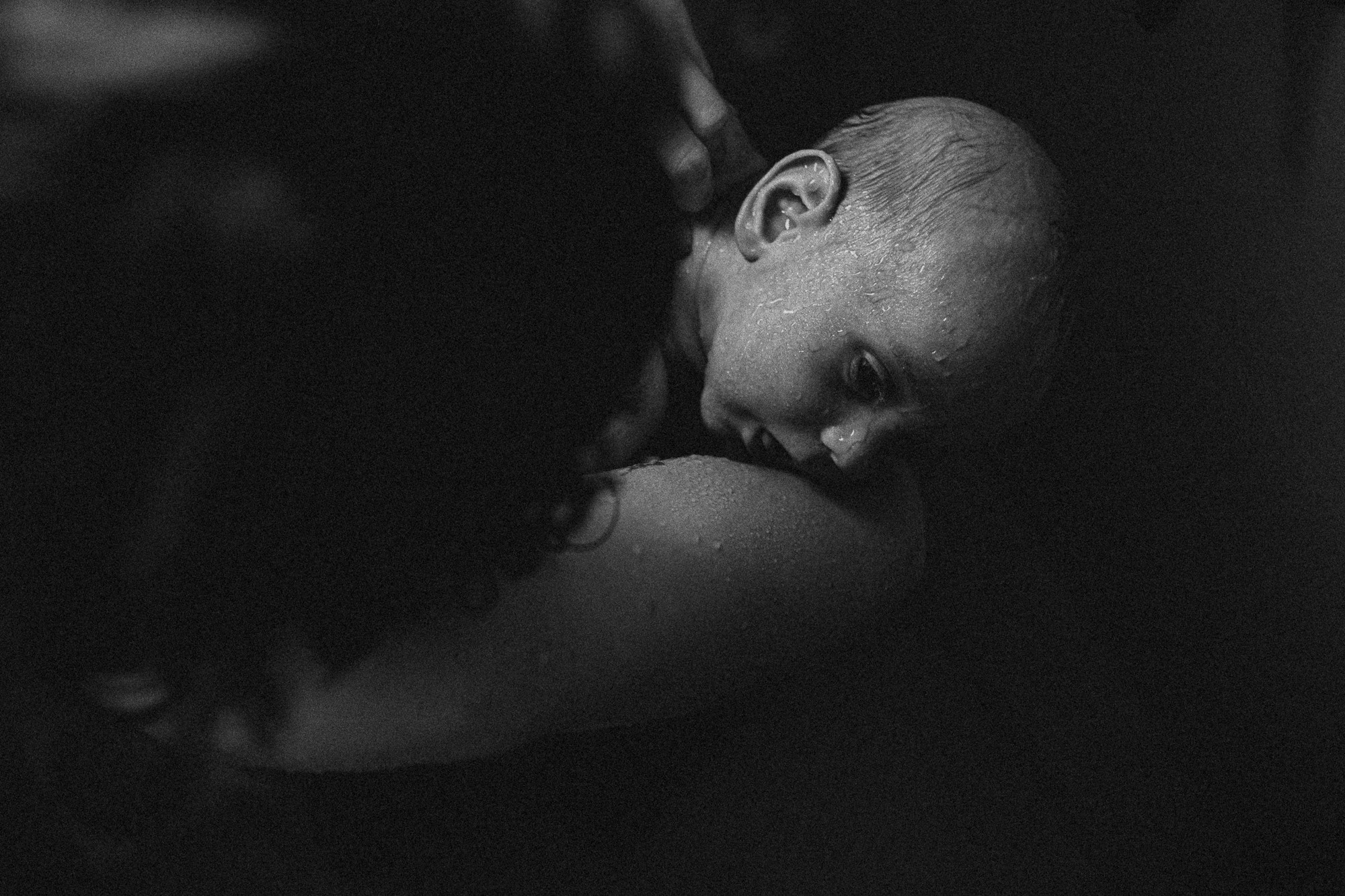 Sinceridade a nova moda. Fotografa de família e crianças em Florianópolis SC Daria Ermolaev